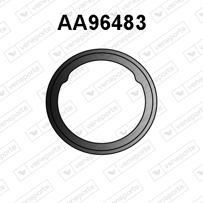 AA96483