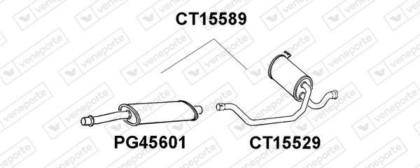 CT15589