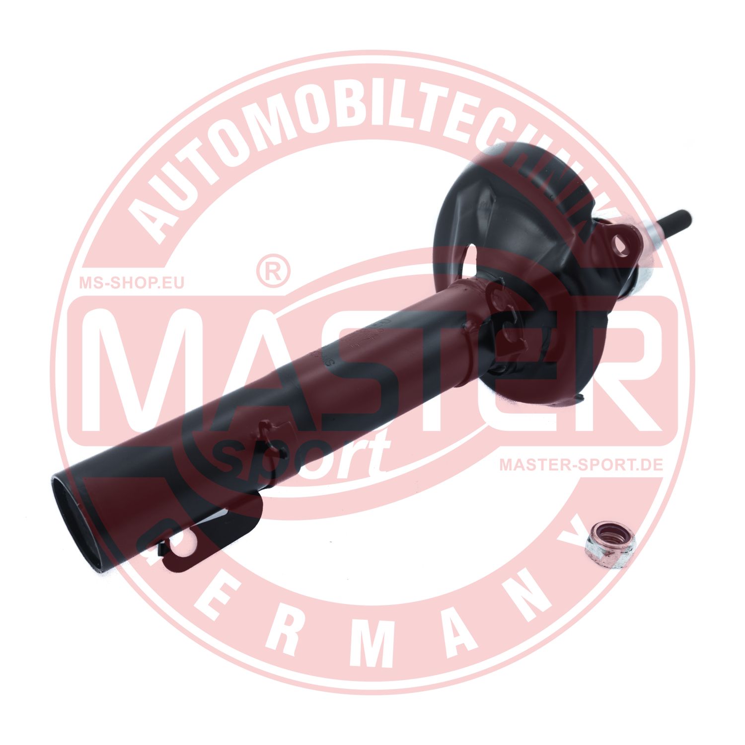 312354-PCS-MS