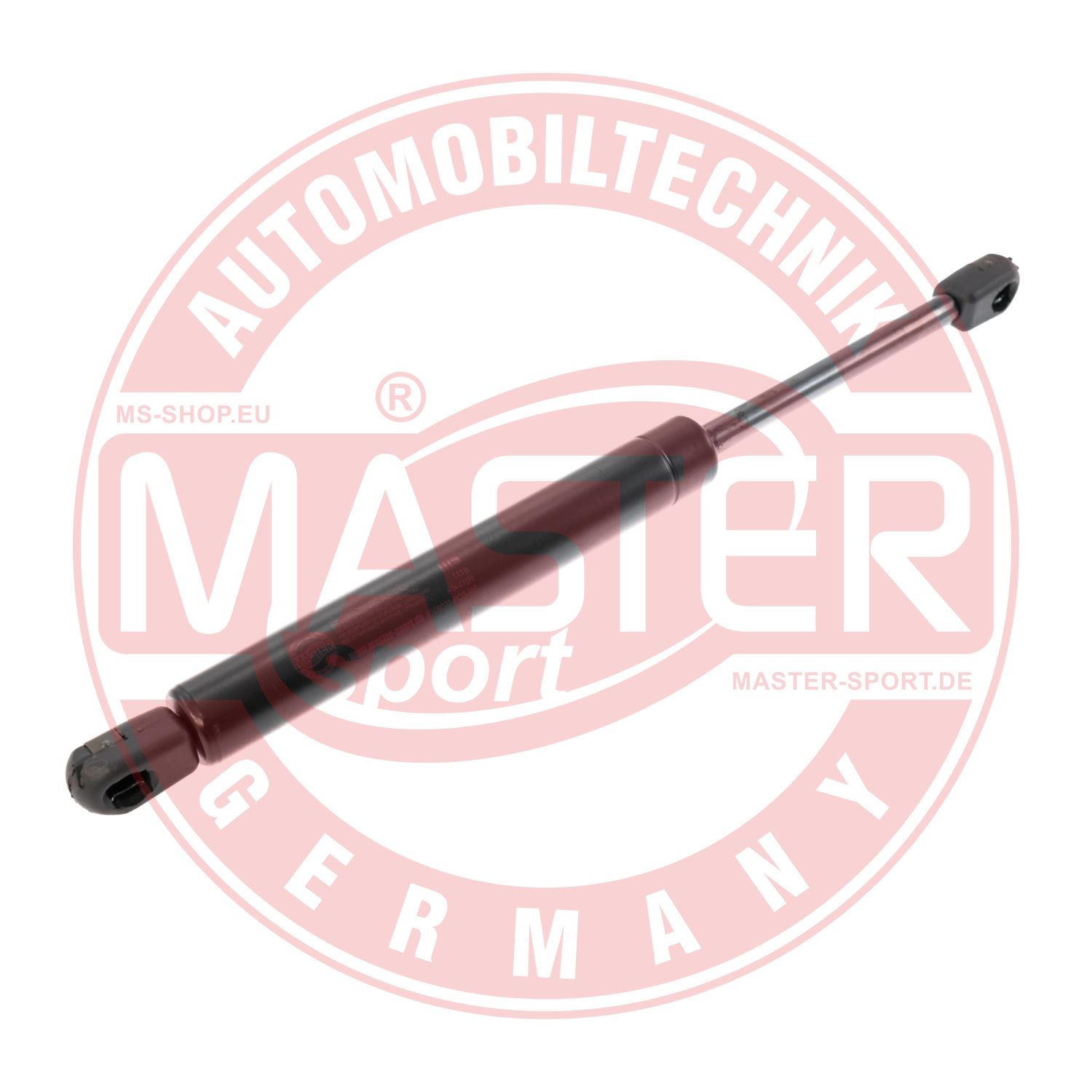 6308020-PCS-MS