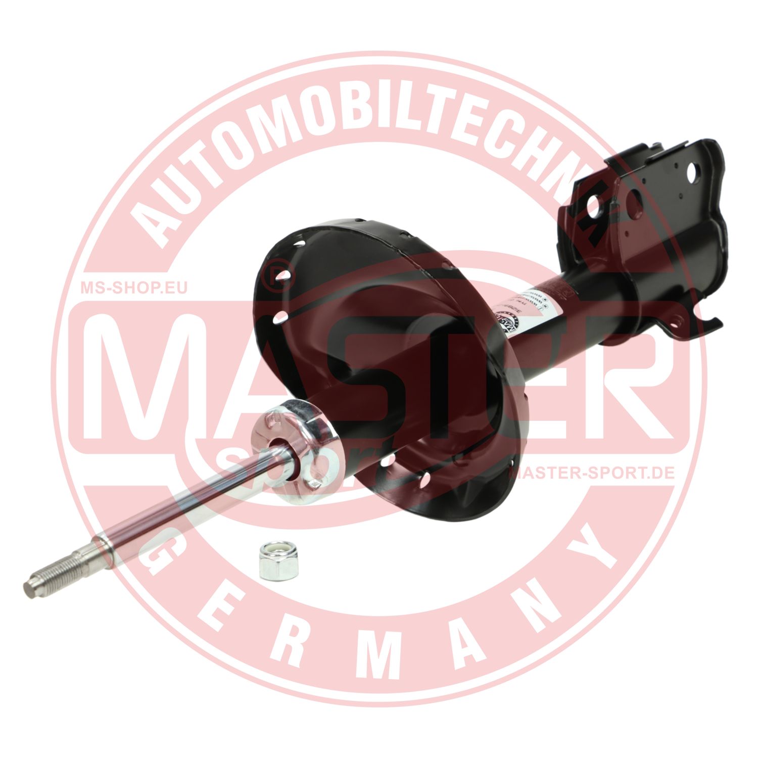 312891-PCS-MS