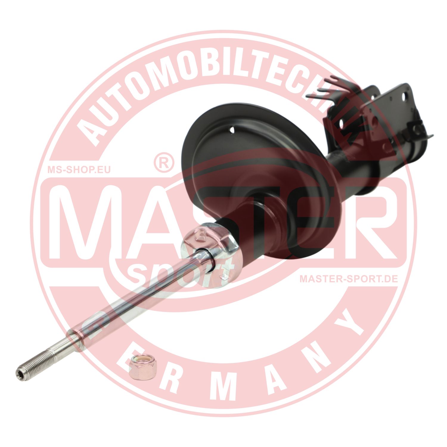 310762-PCS-MS