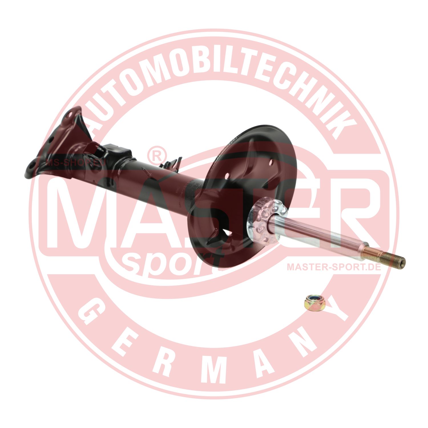 312064-PCS-MS