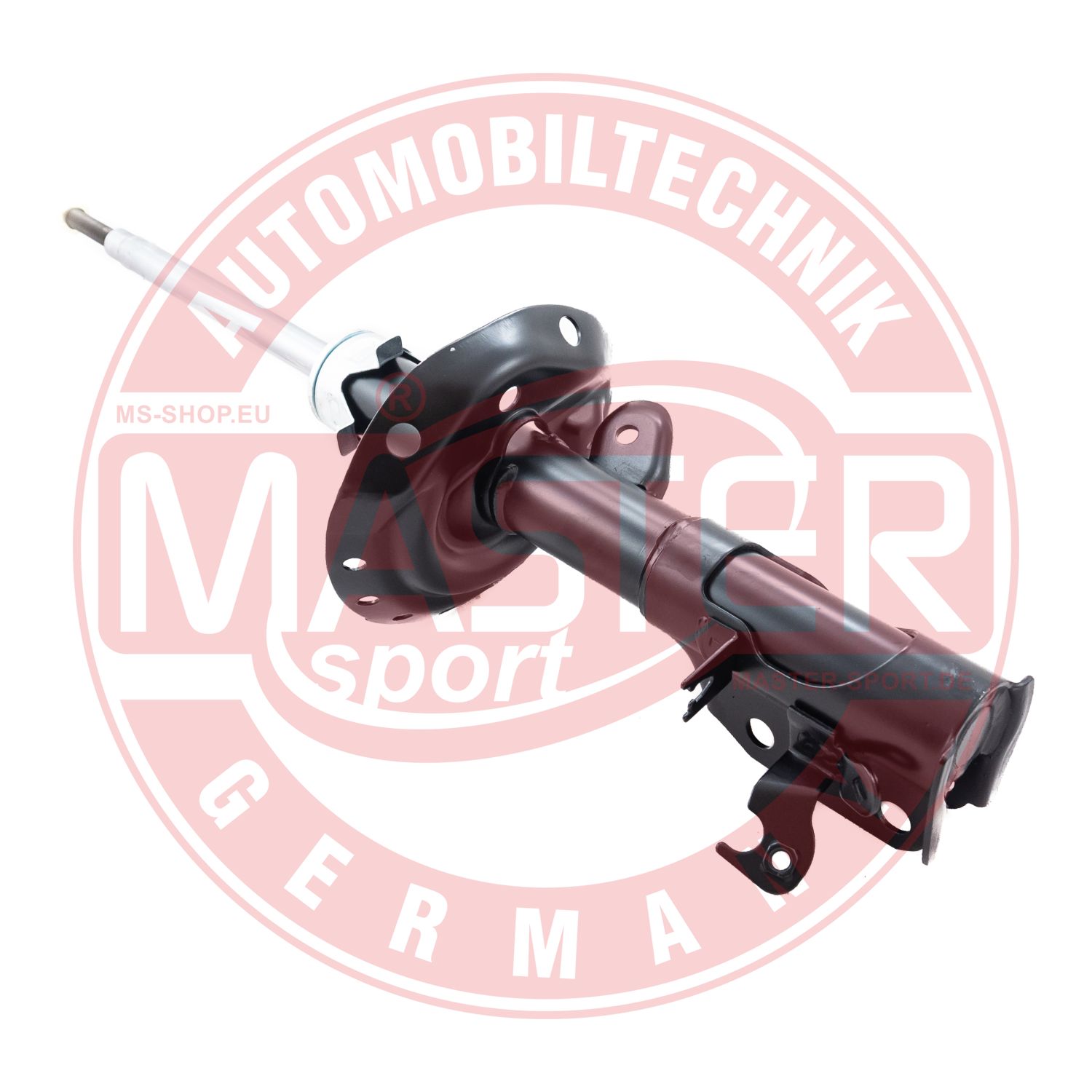 316336-PCS-MS