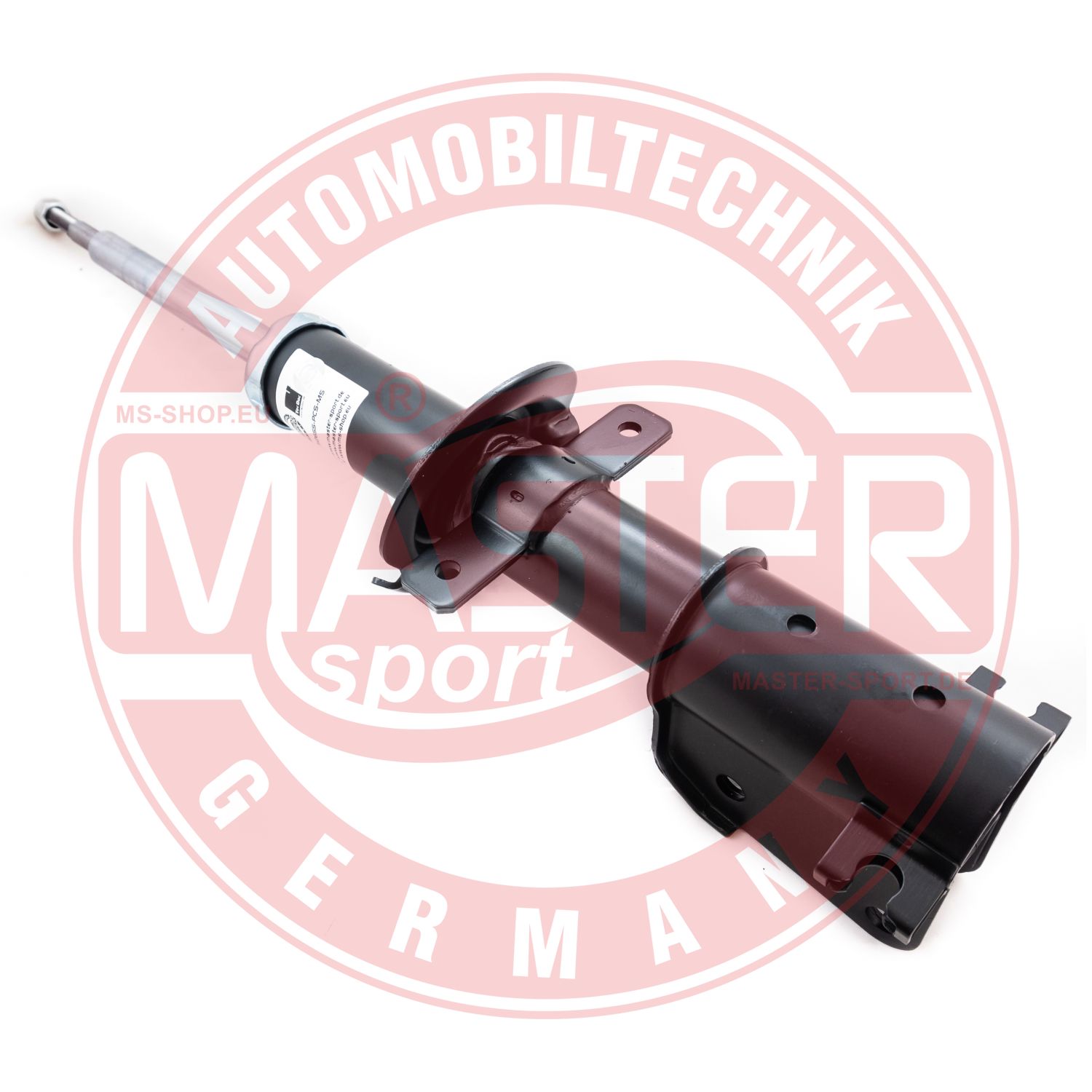 312655-PCS-MS