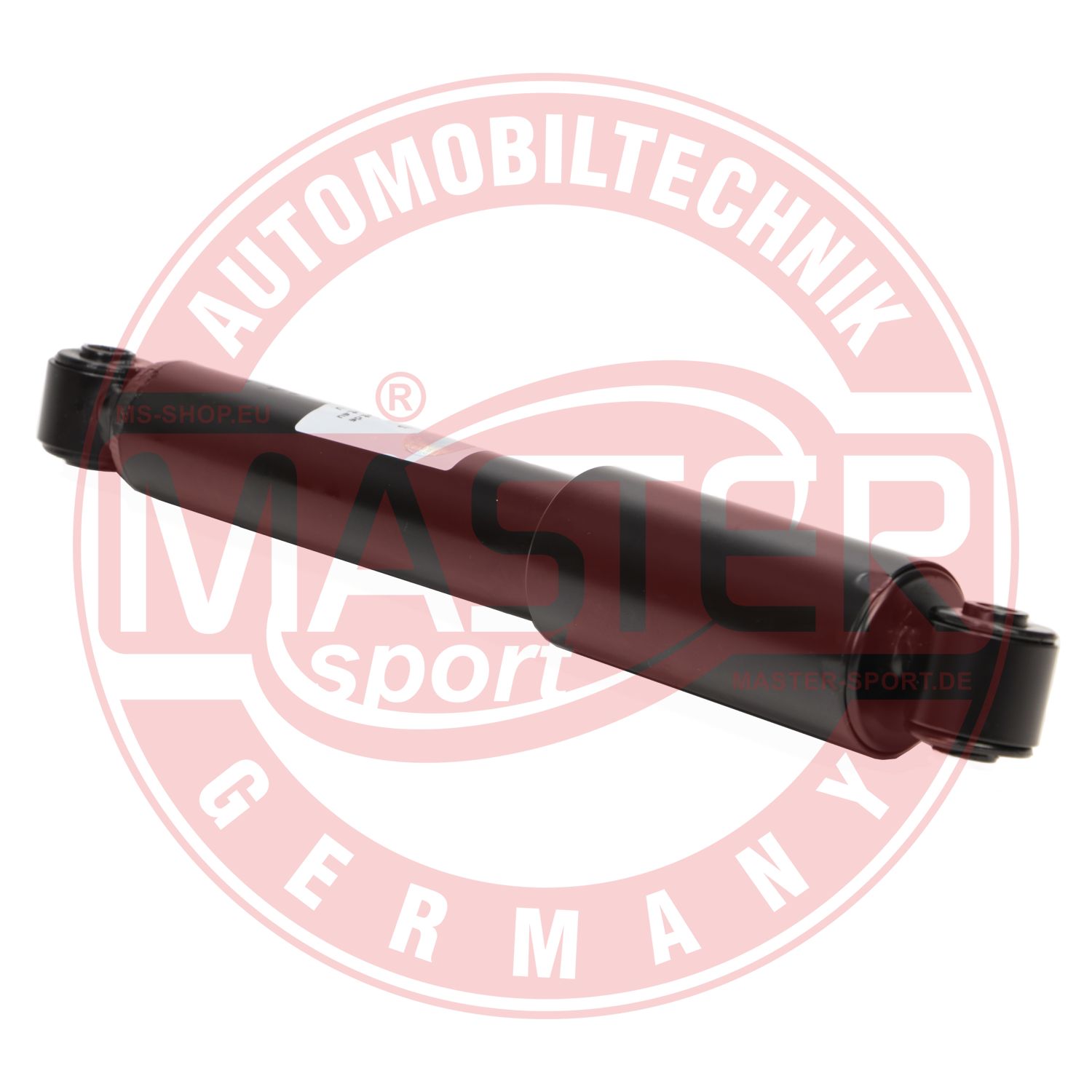 313906-PCS-MS