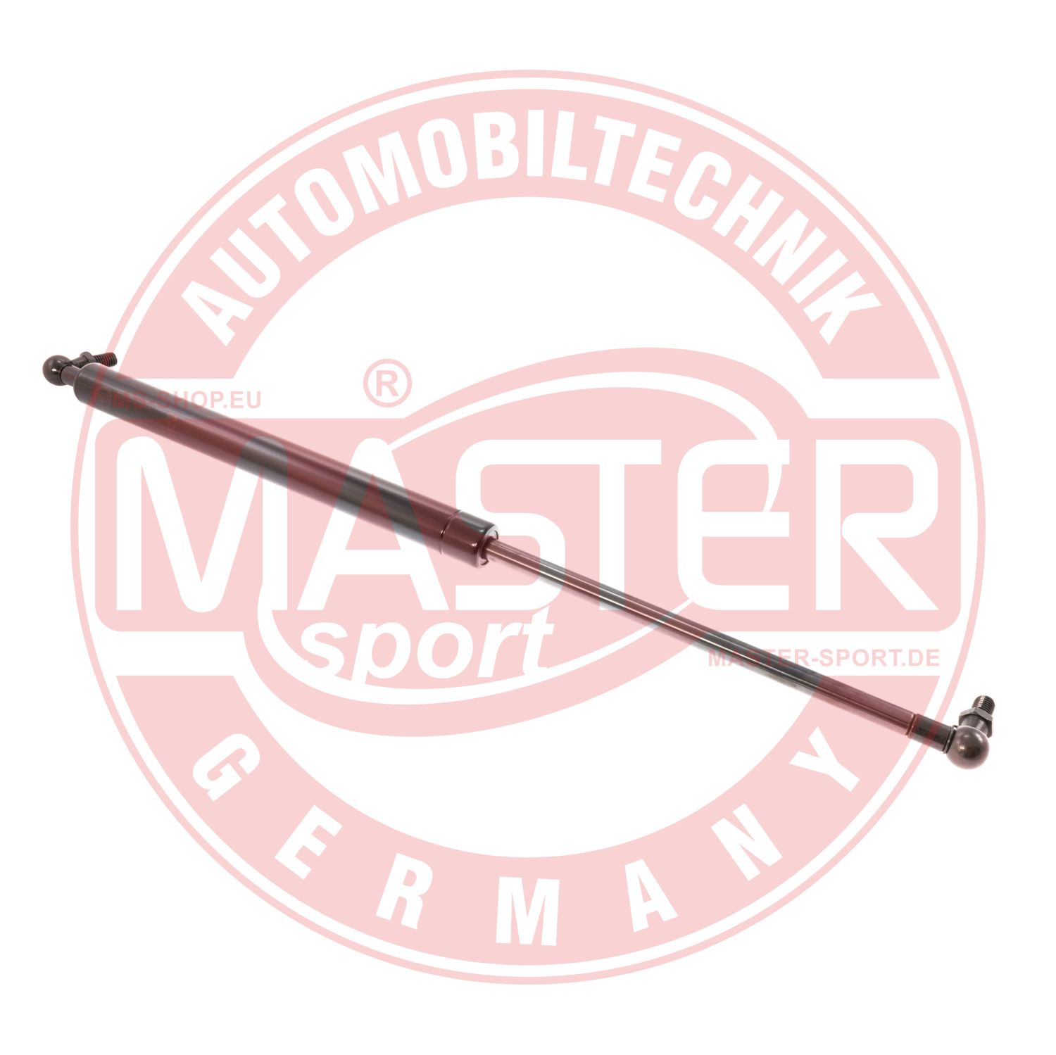 6308012-PCS-MS