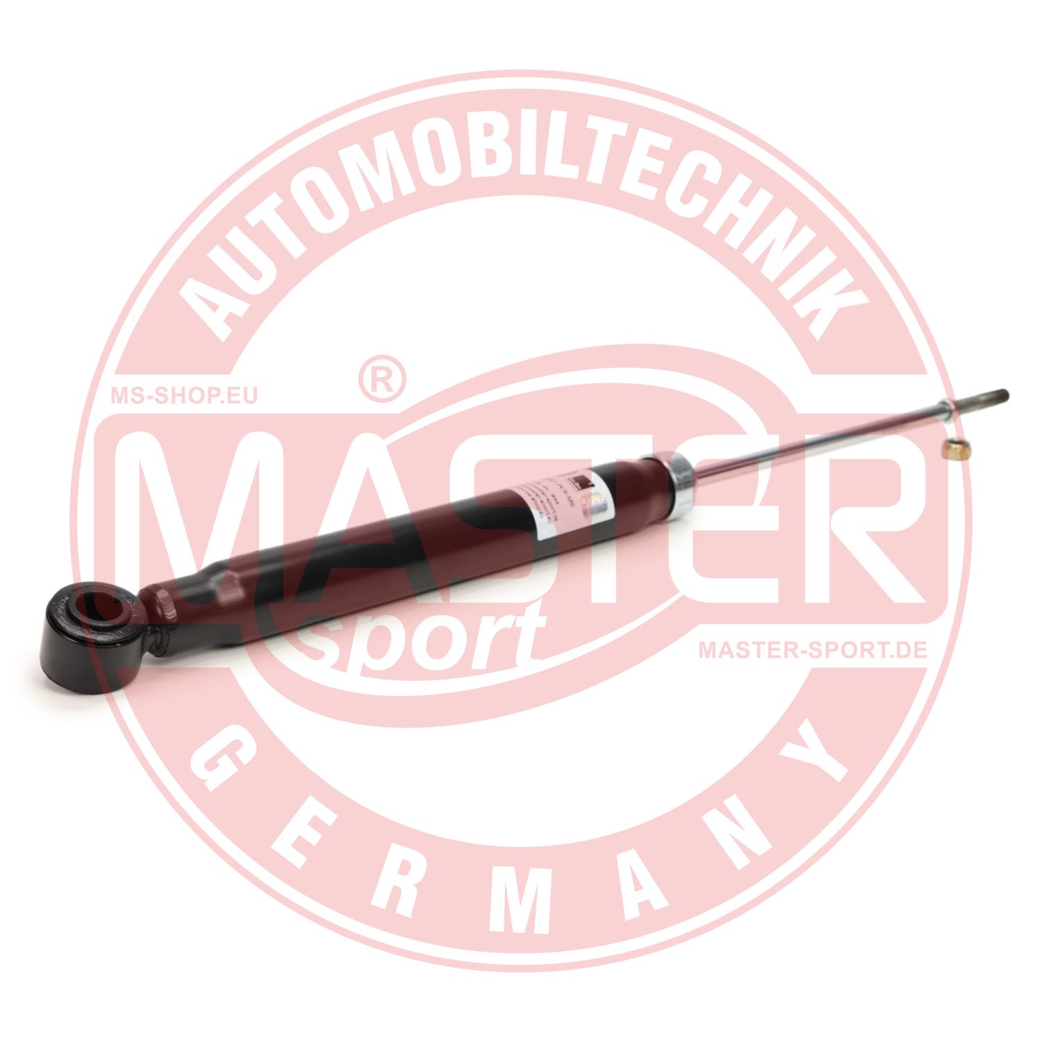 313857-PCS-MS