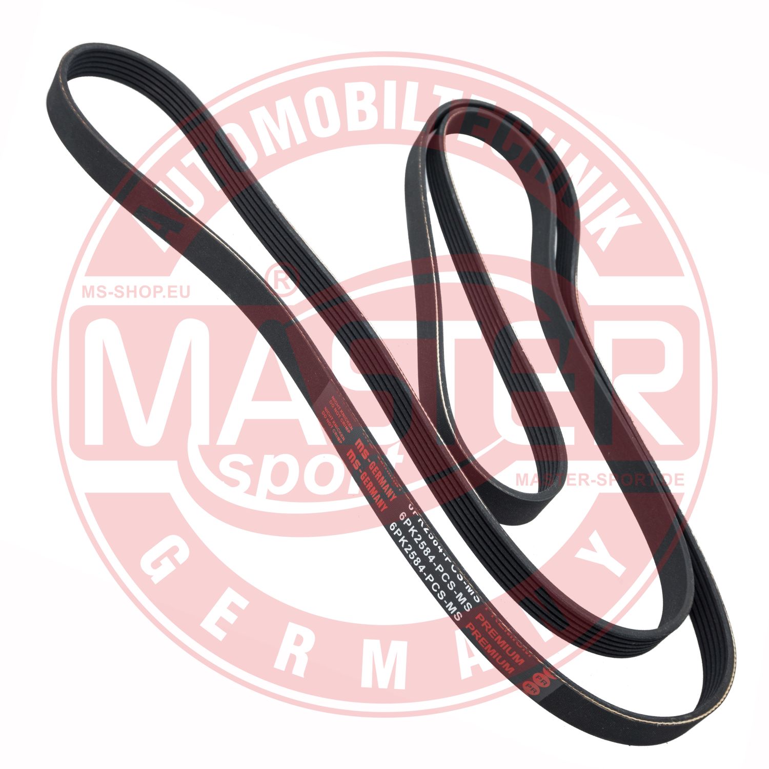 6PK2584-PCS-MS