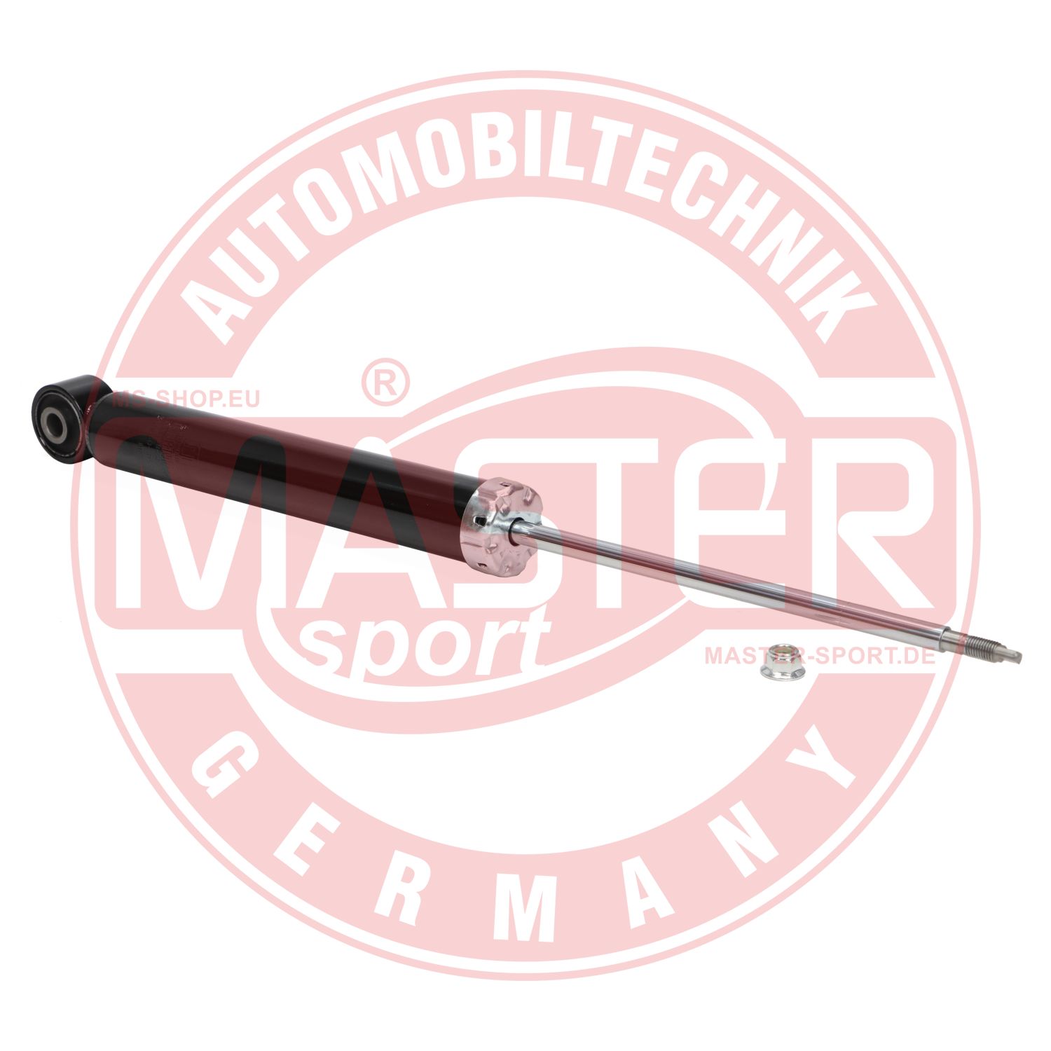 310950-PCS-MS