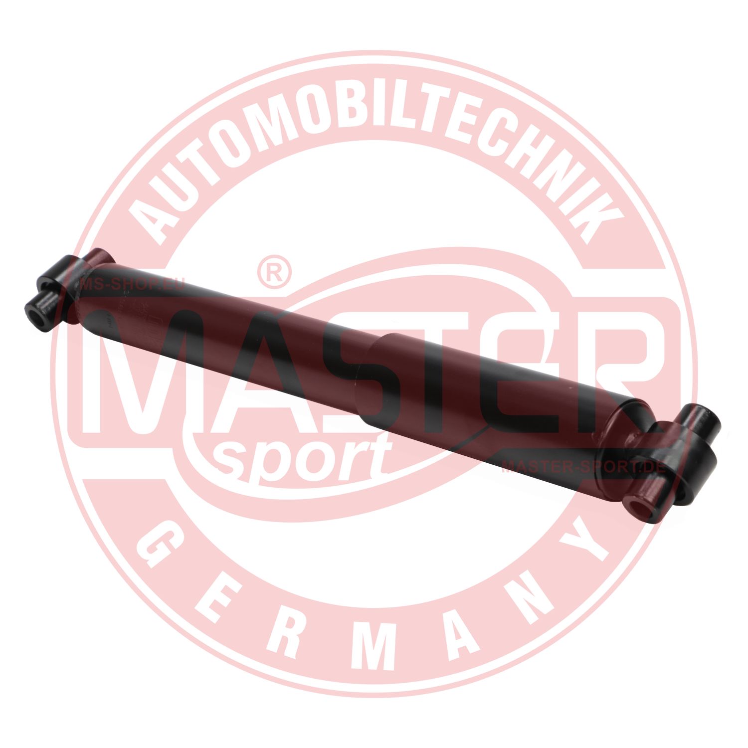 313856-PCS-MS