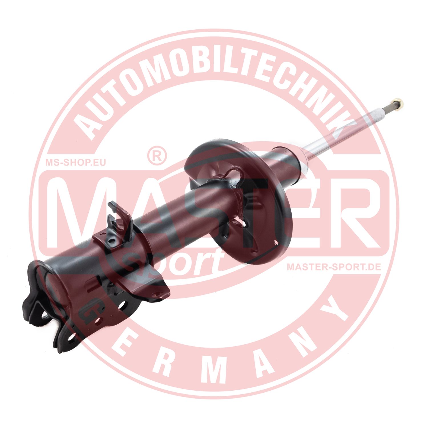 313626-PCS-MS