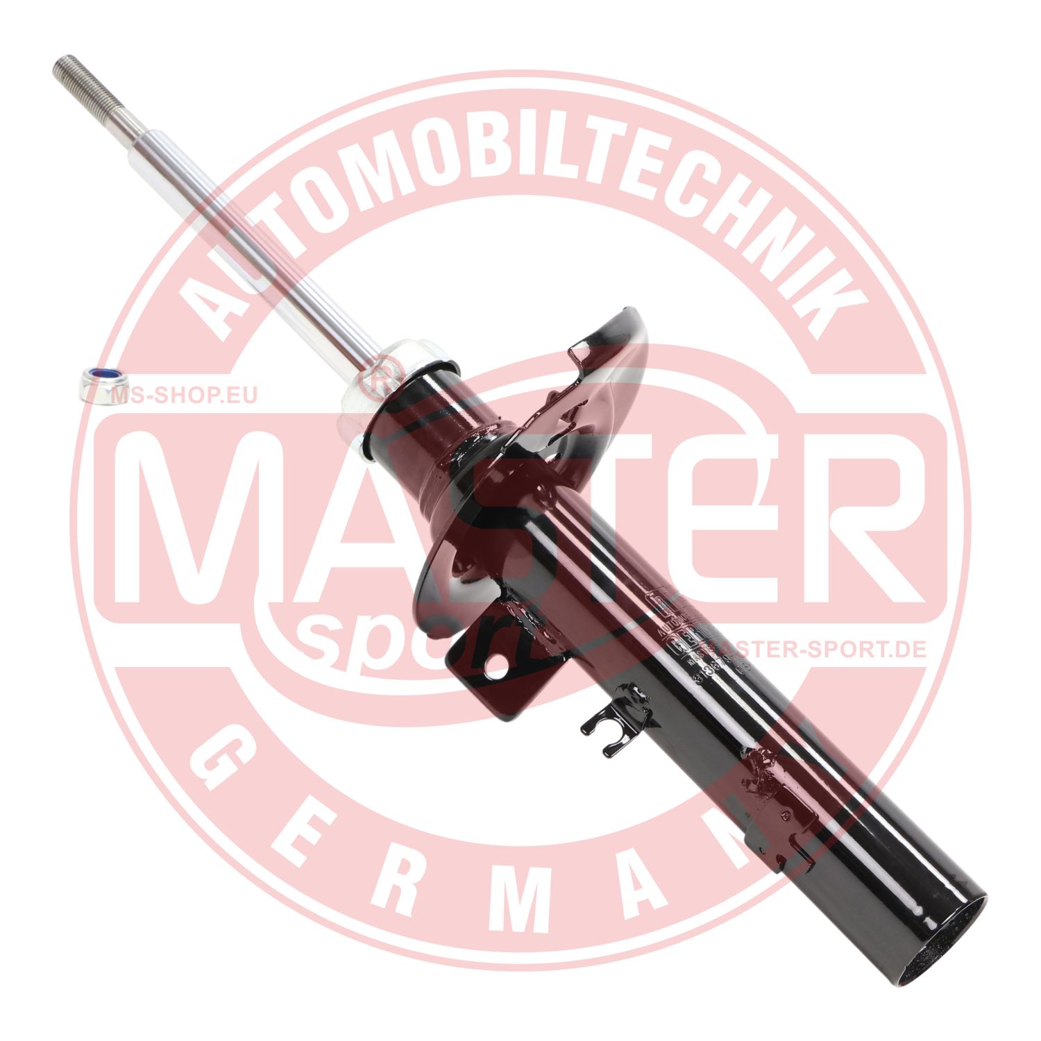 313679-PCS-MS