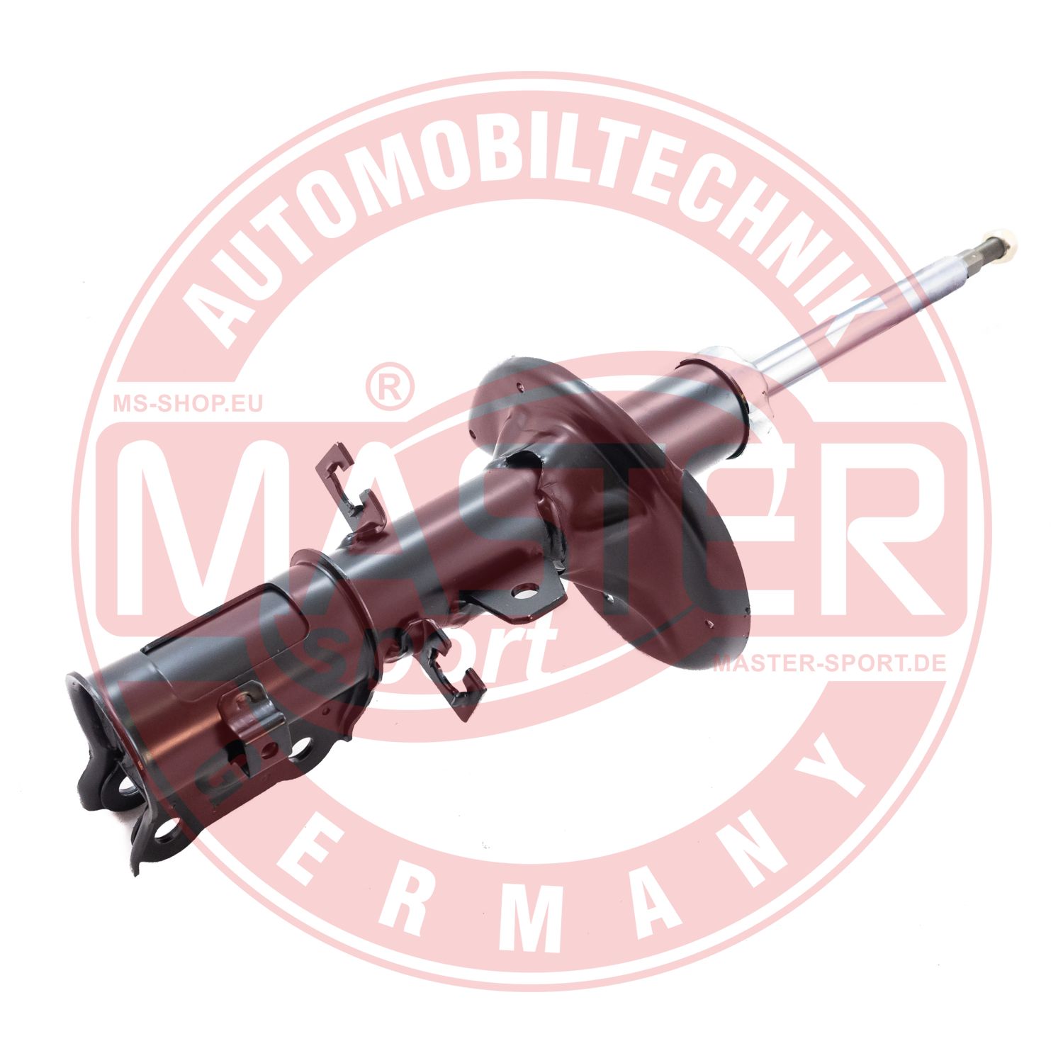 313527-PCS-MS