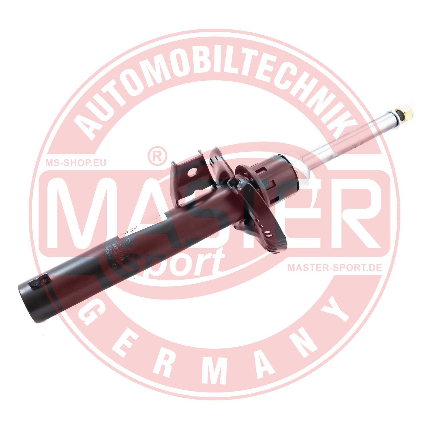 315910-PCS-MS