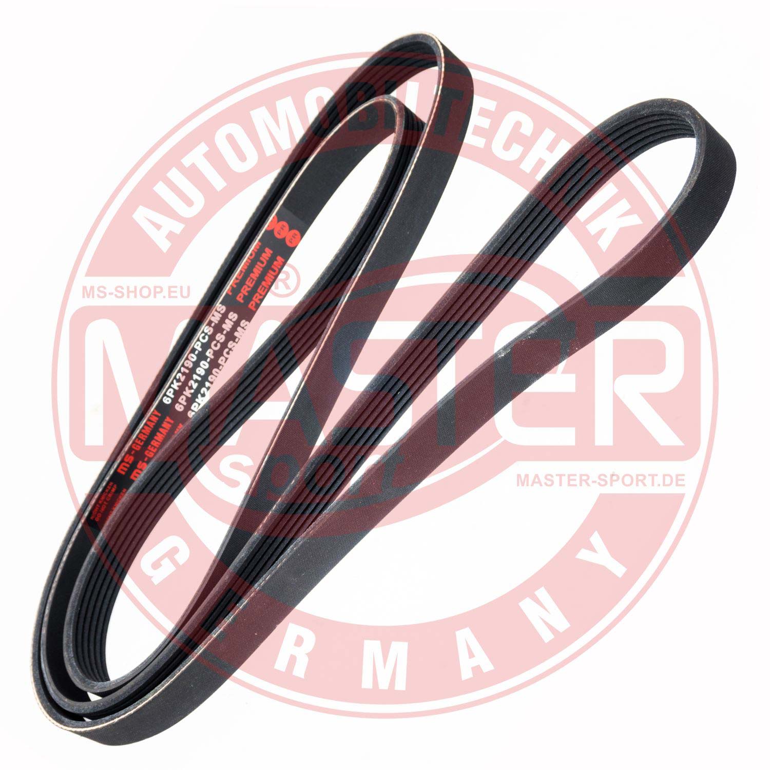 6PK2190-PCS-MS