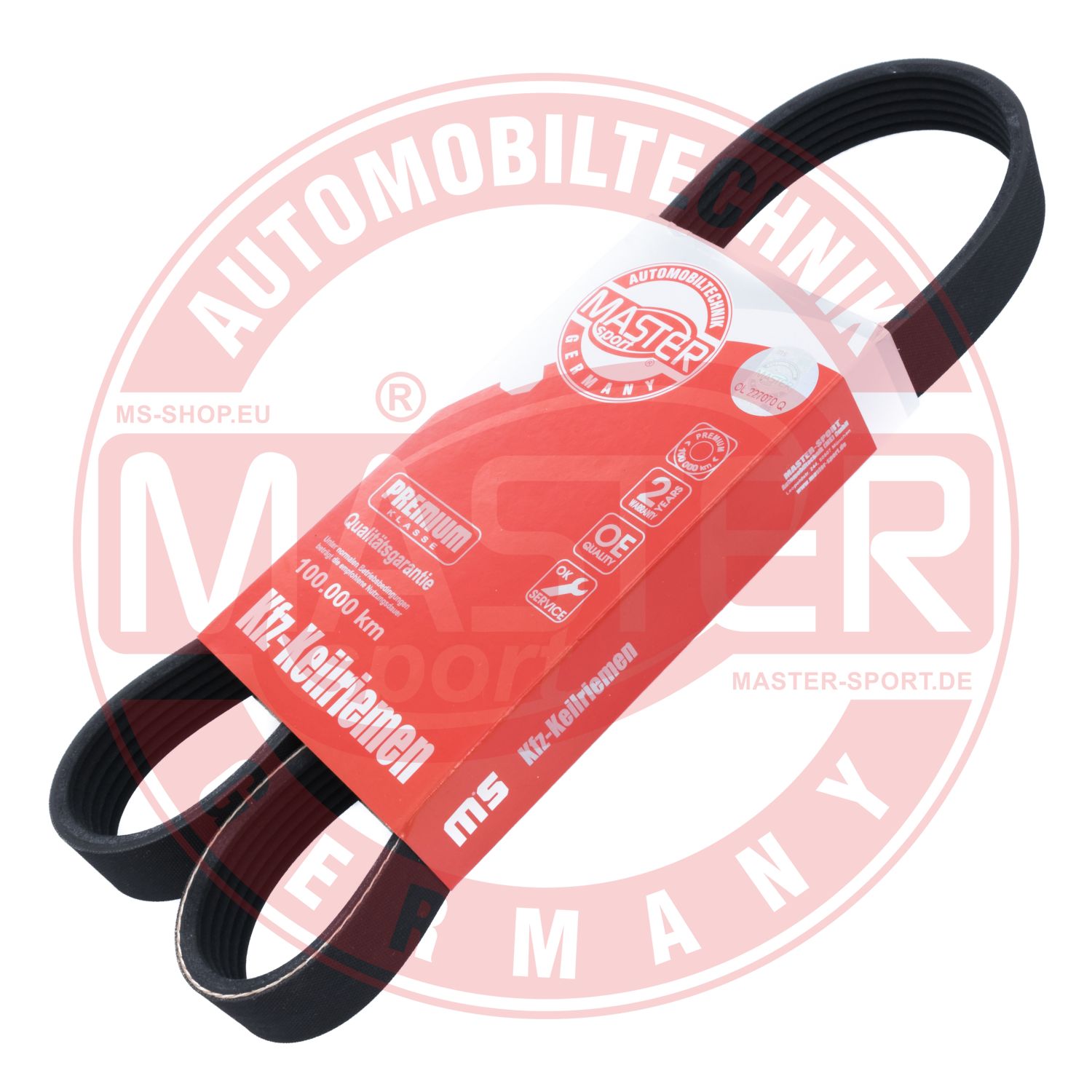 6PK976-PCS-MS