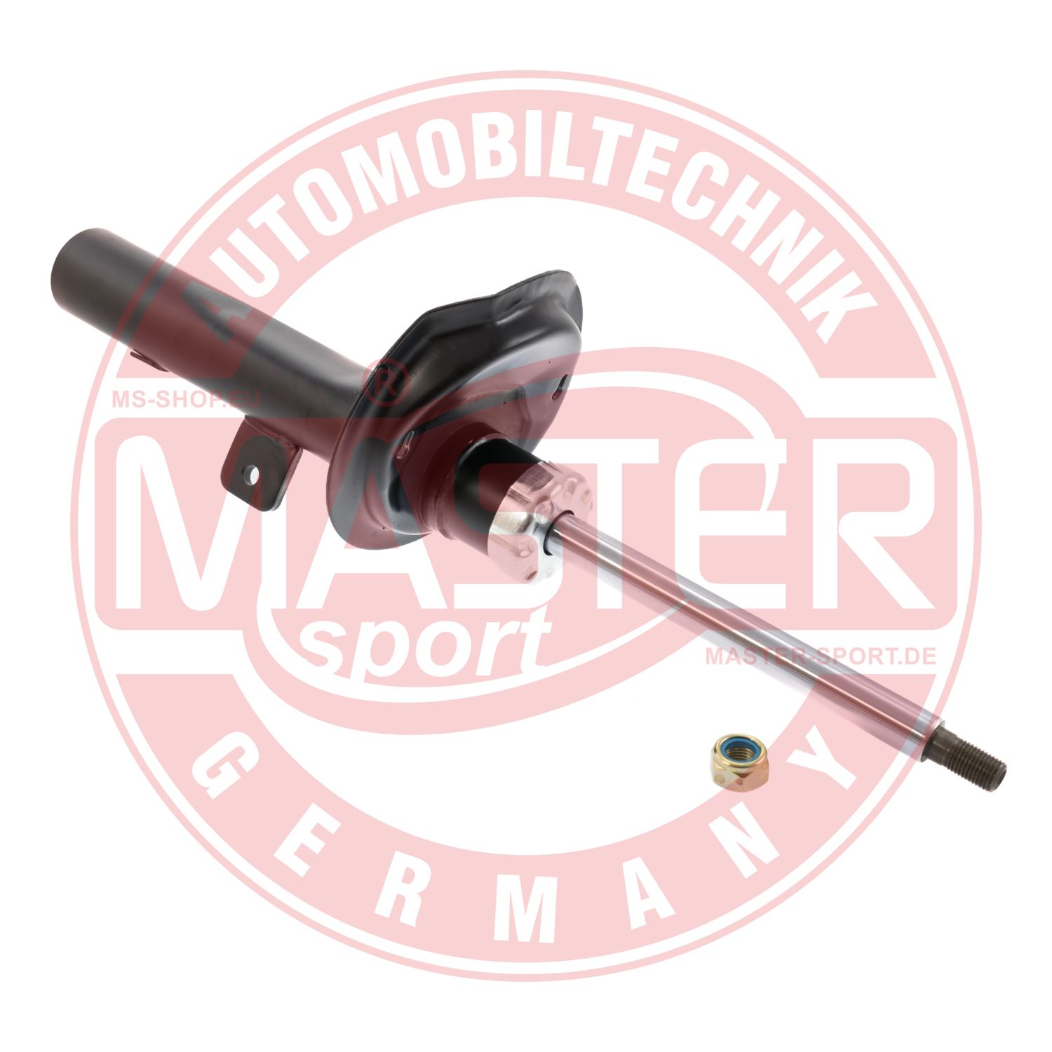 313346-PCS-MS