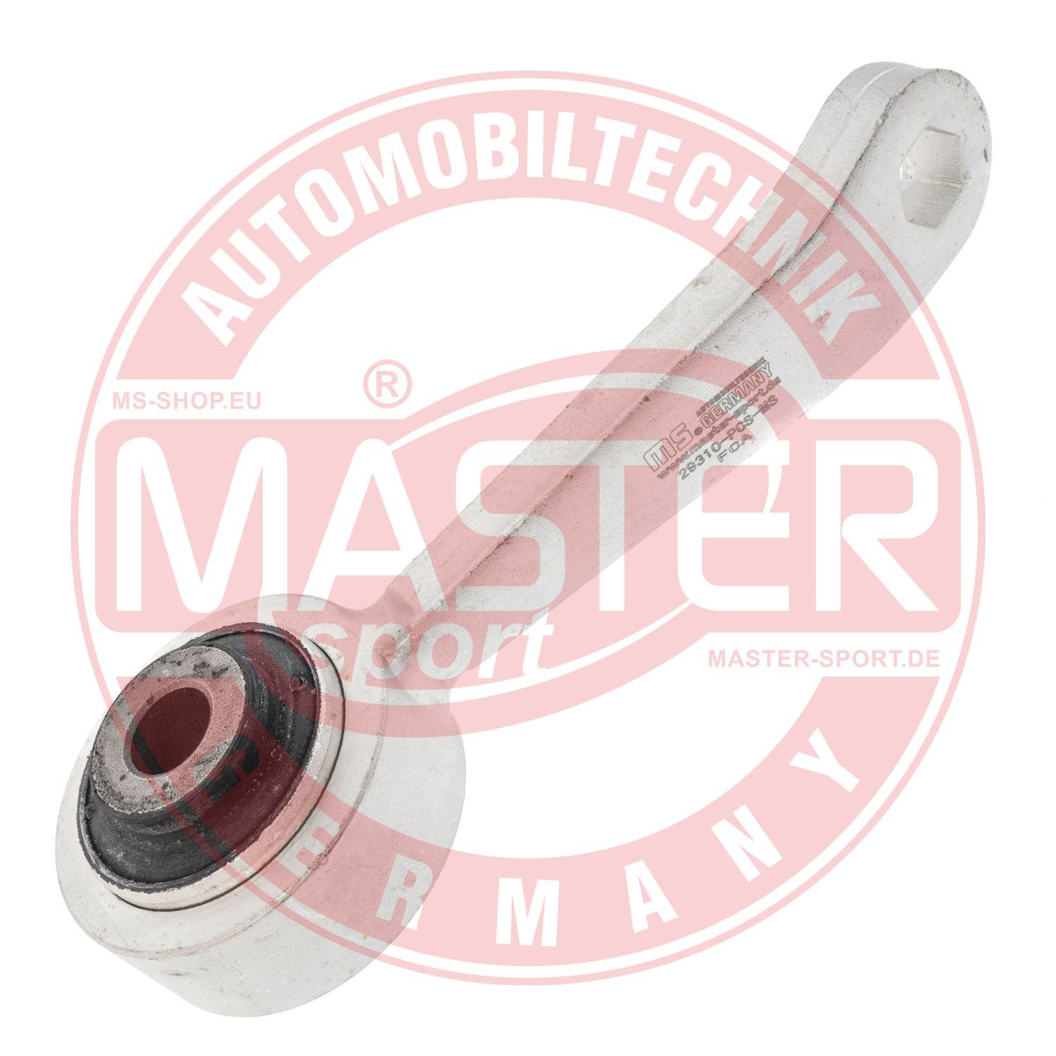 29310-PCS-MS