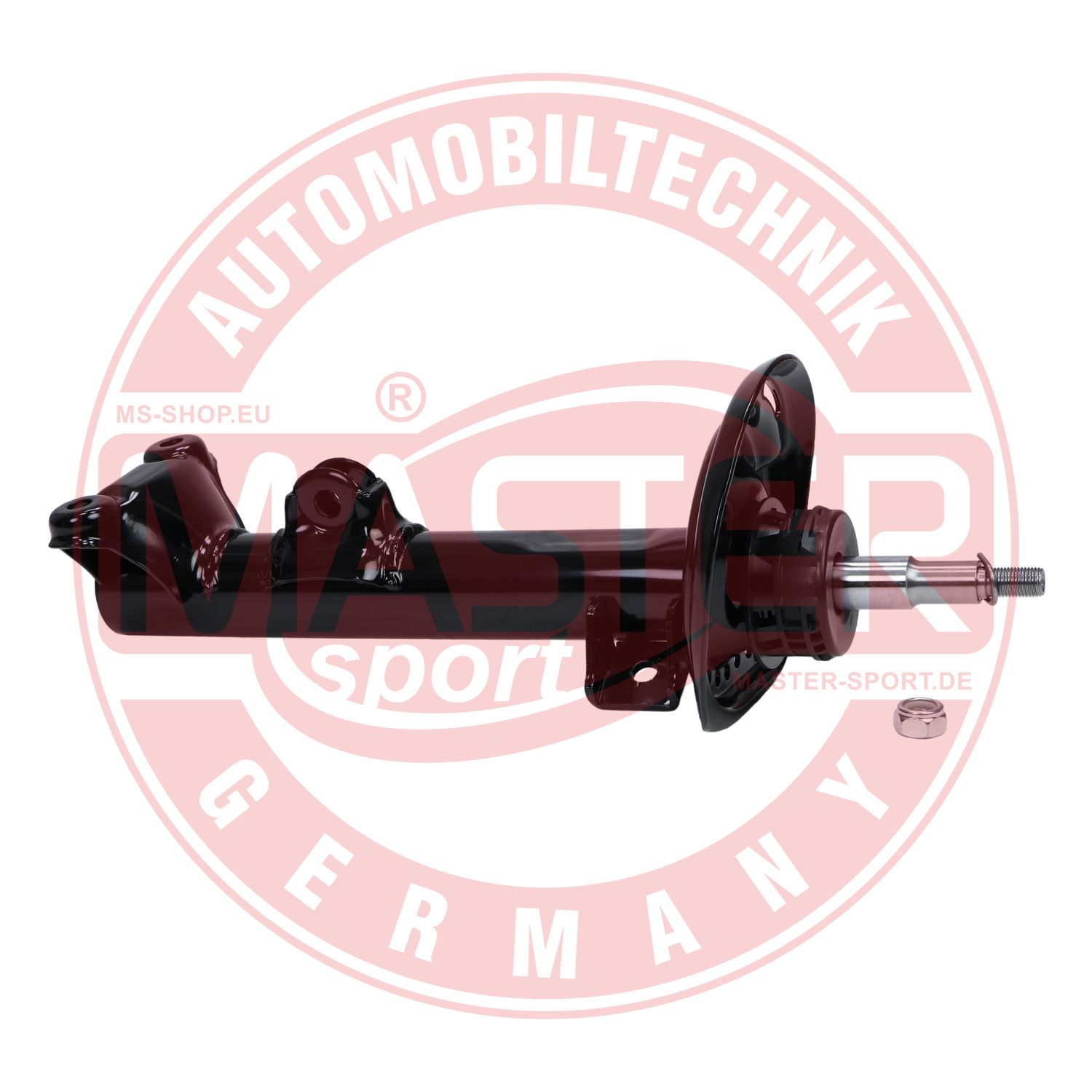 317556-PCS-MS