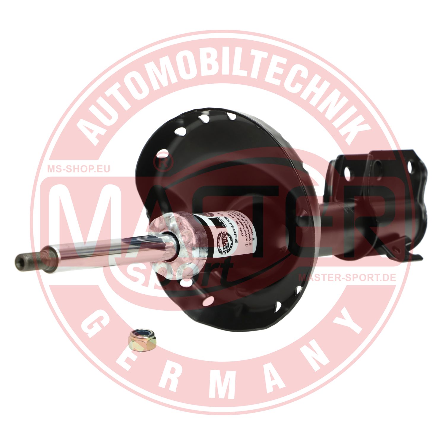 312895-PCS-MS