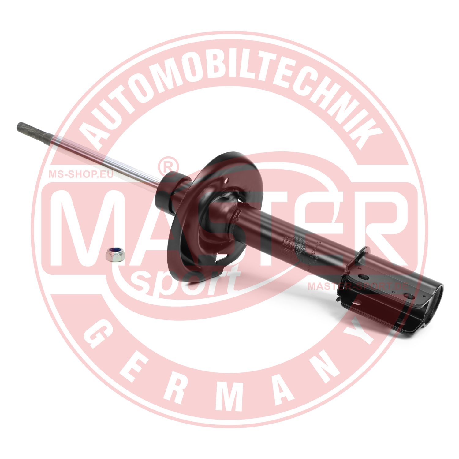 317417-PCS-MS