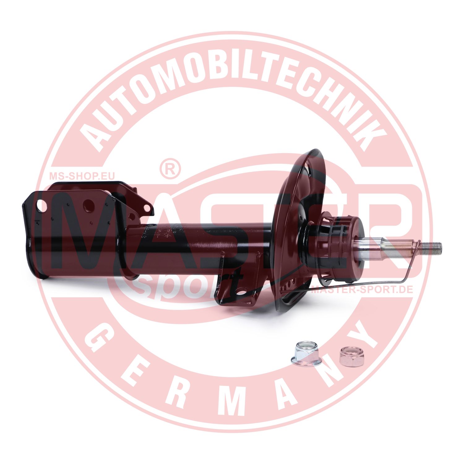 314006-PCS-MS