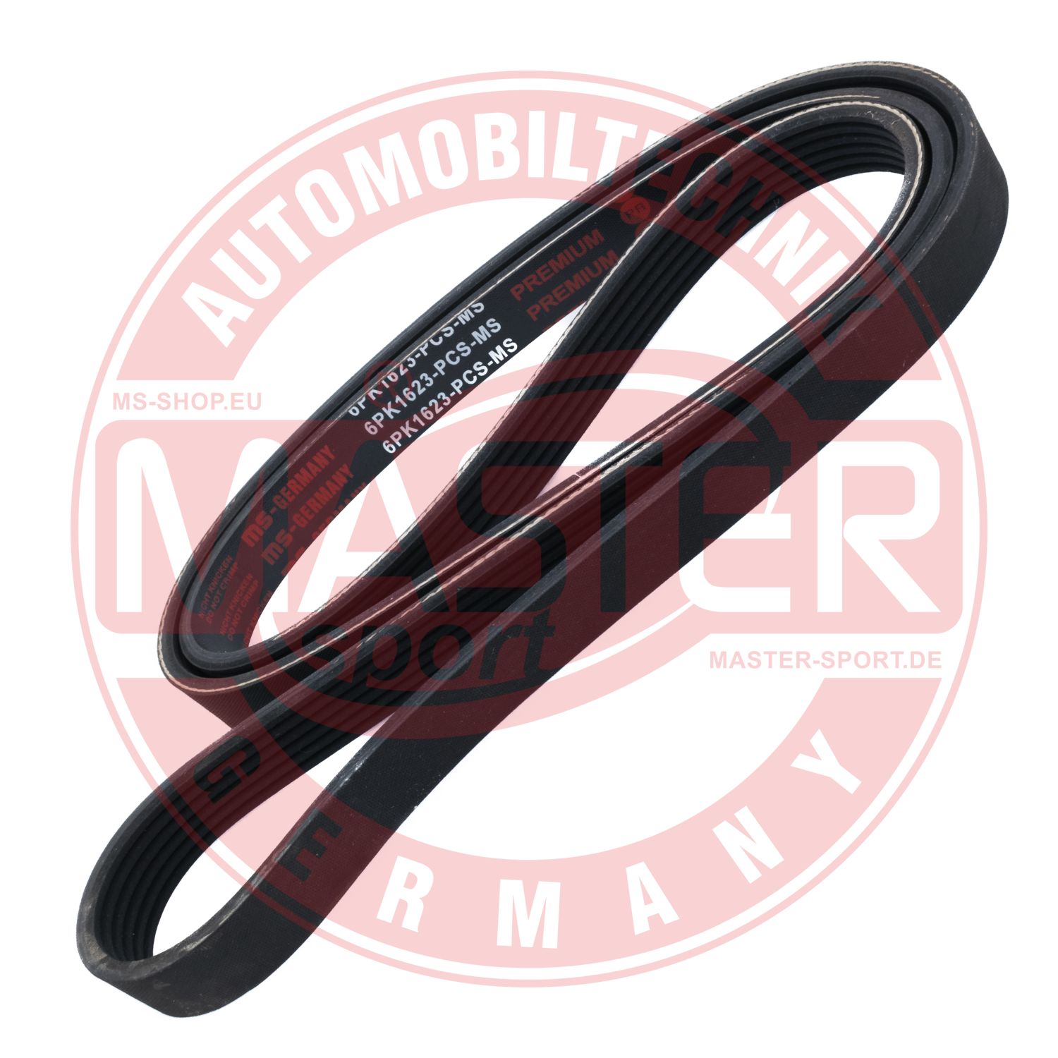 6PK1623-PCS-MS