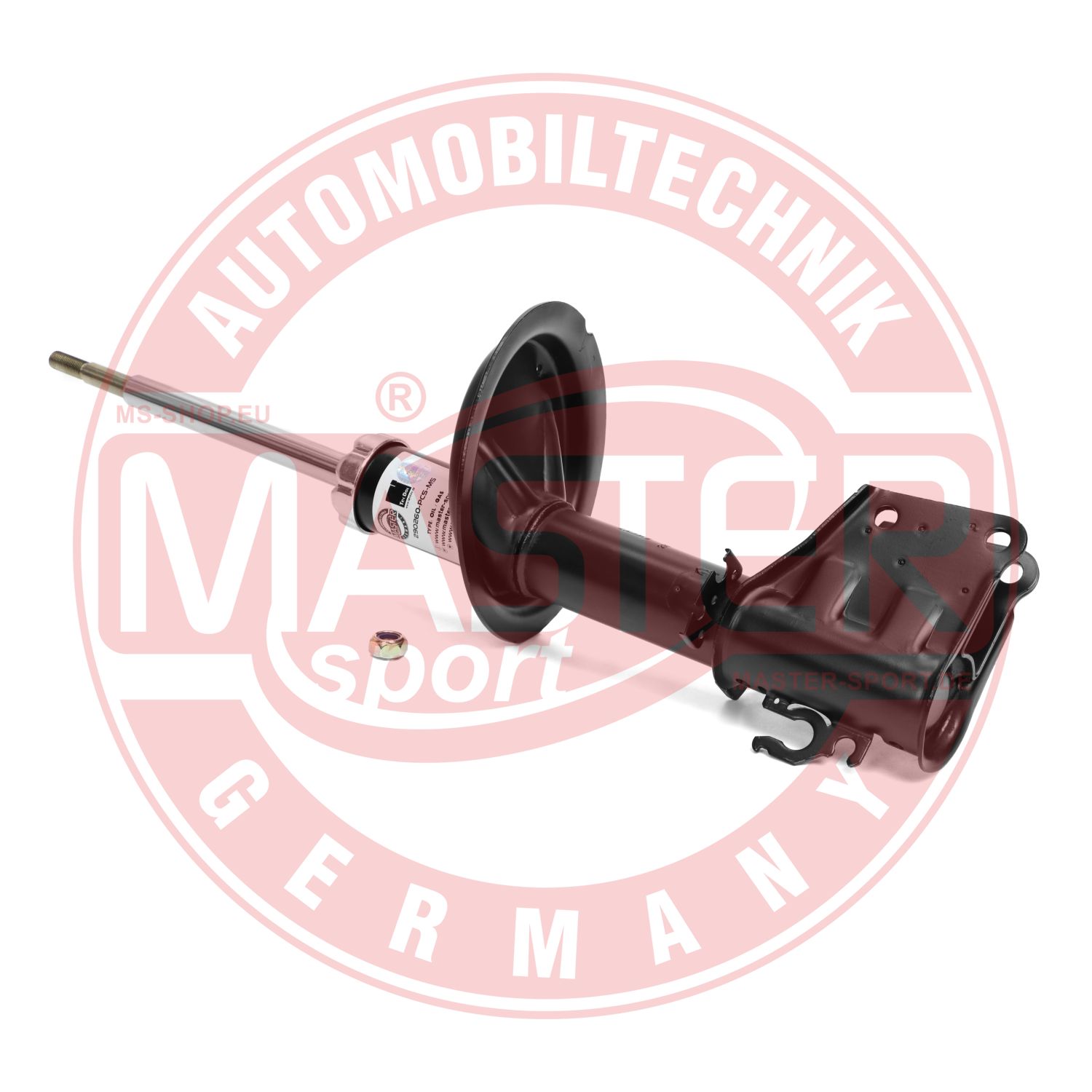 290260-PCS-MS