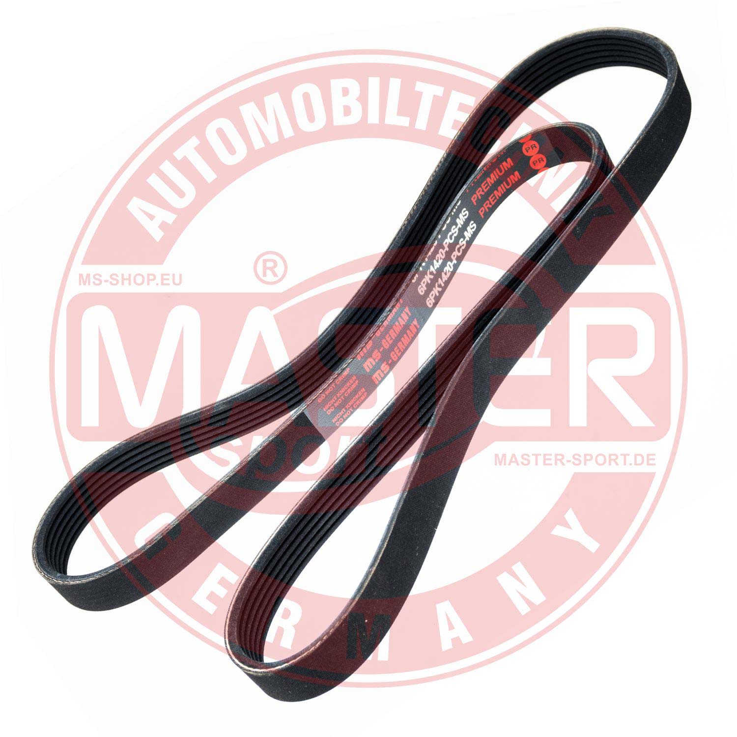 6PK1420-PCS-MS