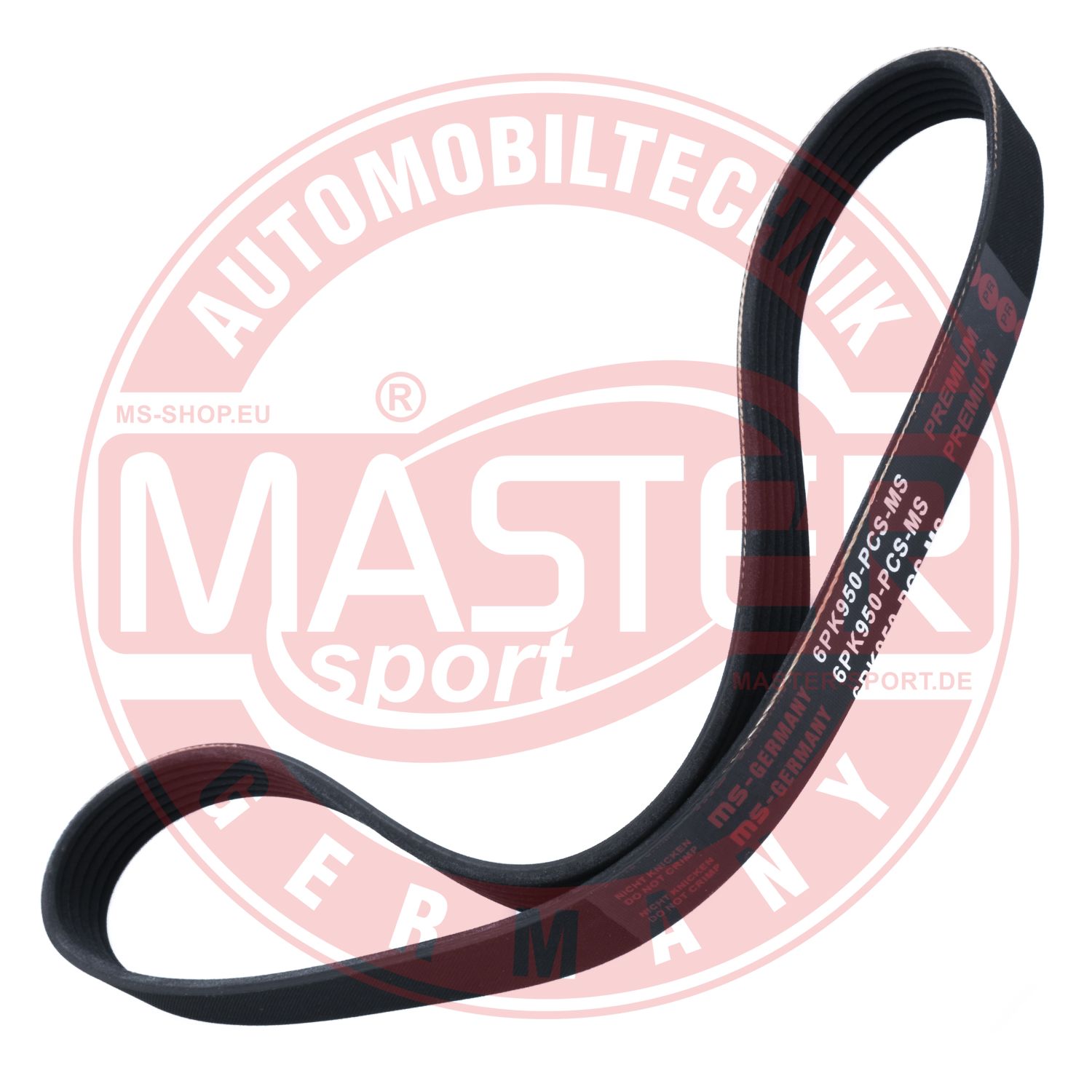 6PK950-PCS-MS