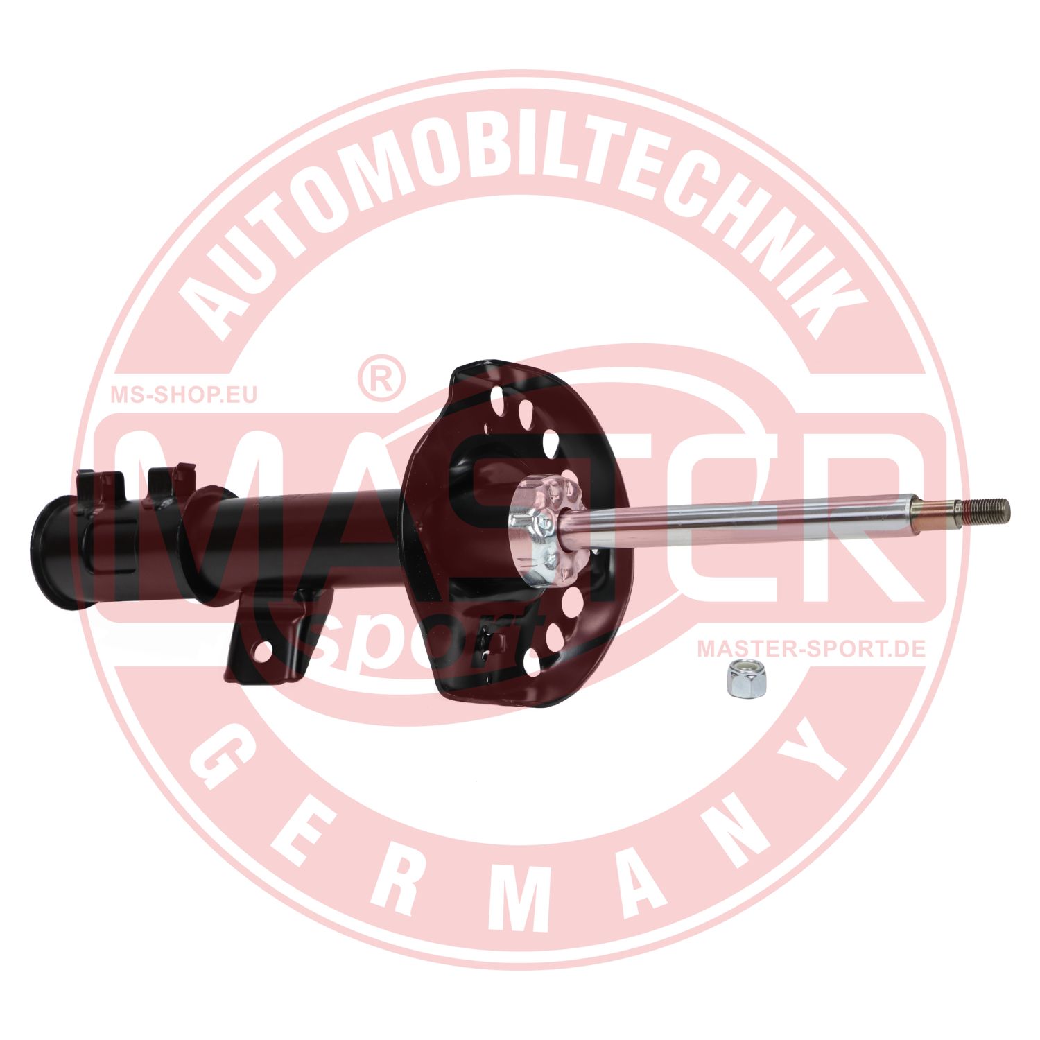 314009-PCS-MS
