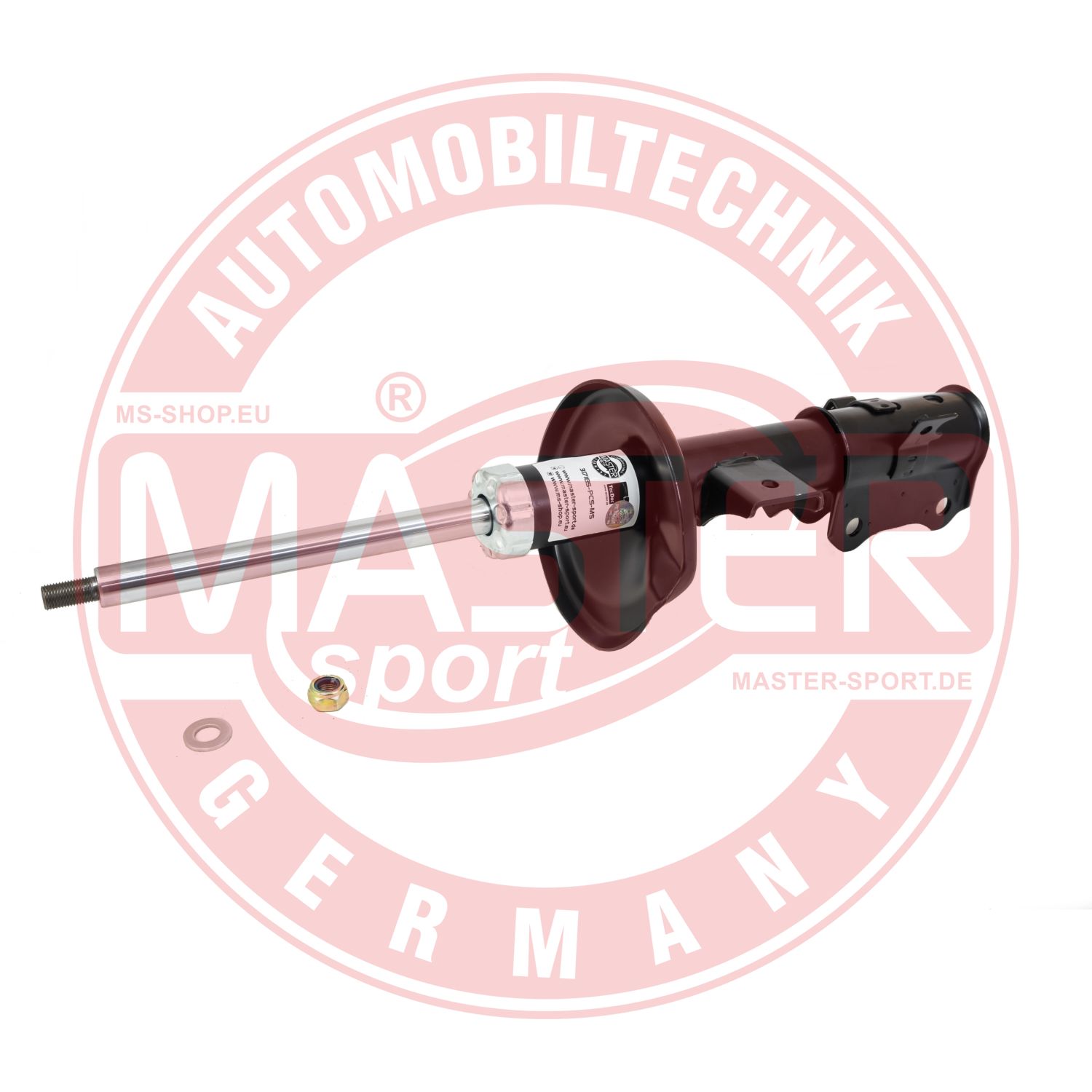 317185-PCS-MS