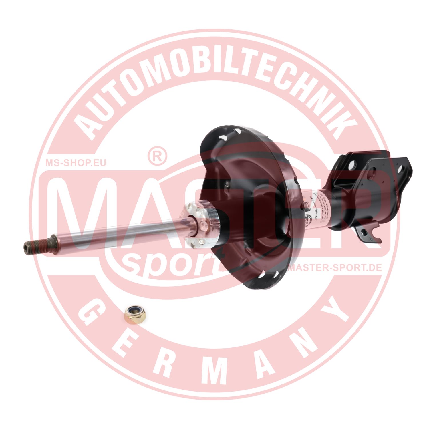 317148-PCS-MS