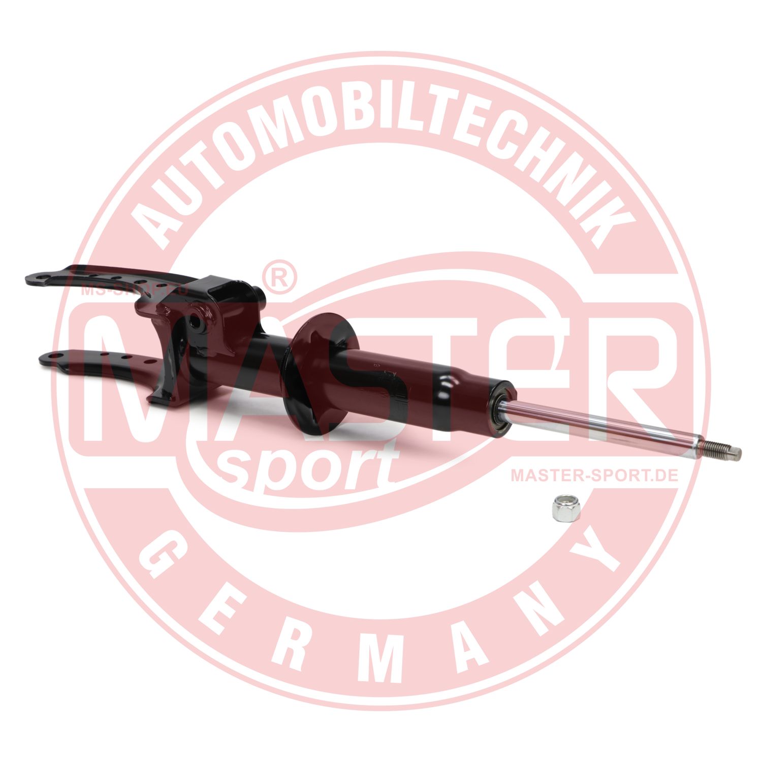 317241-PCS-MS