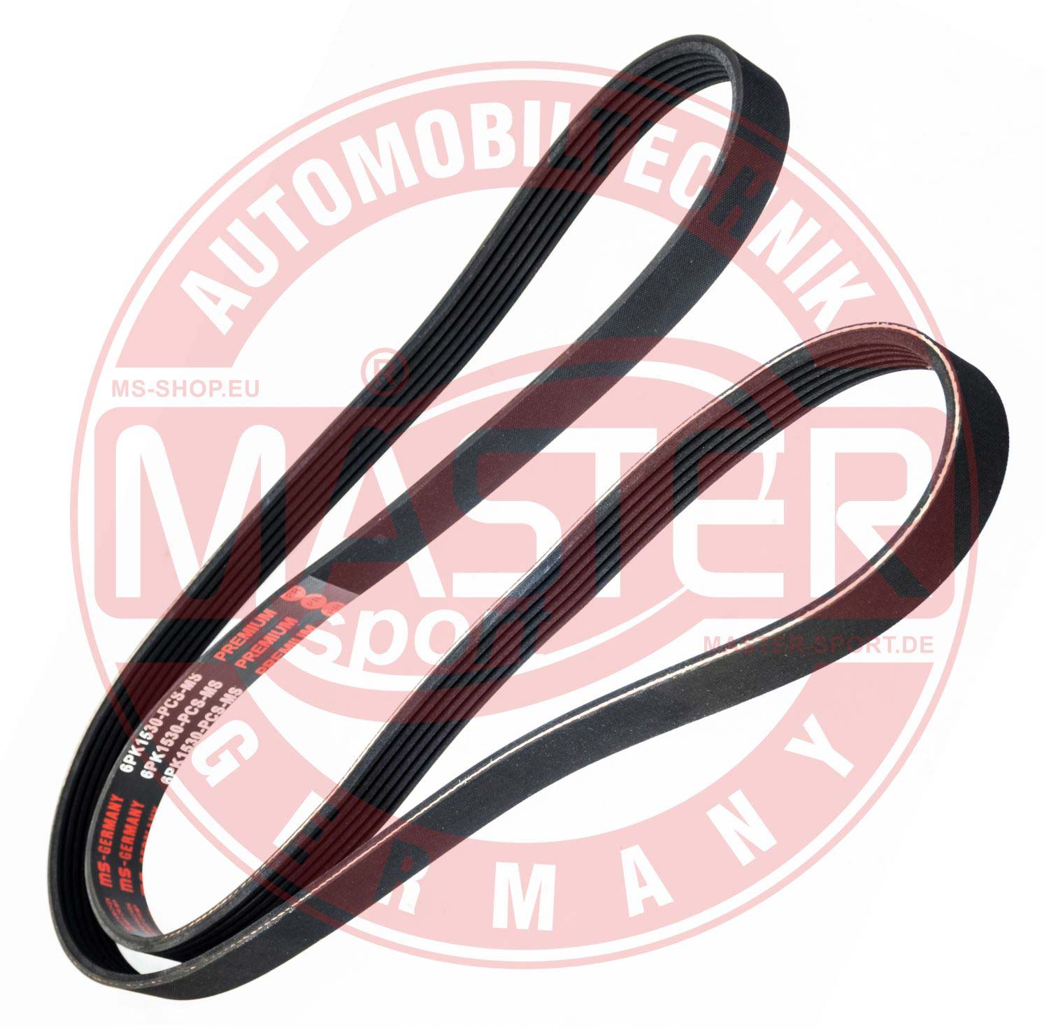 6PK1530-PCS-MS