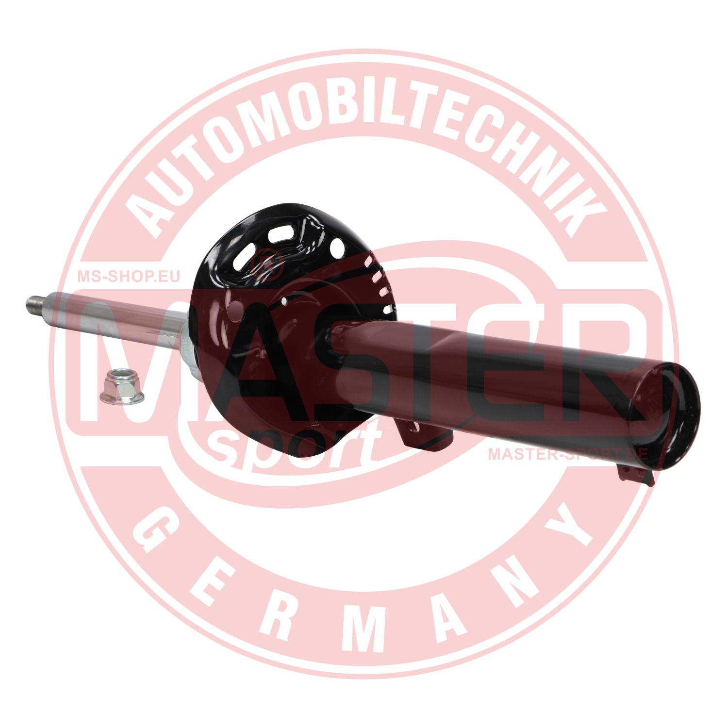 313053-PCS-MS