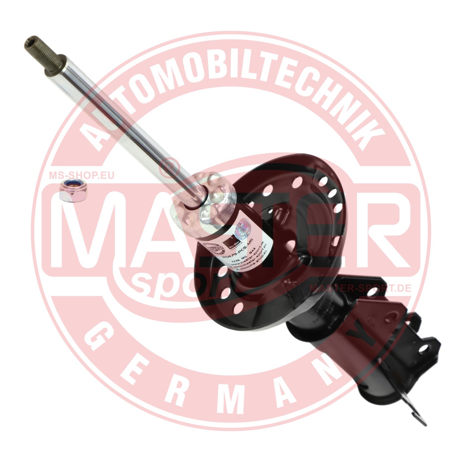315479-PCS-MS