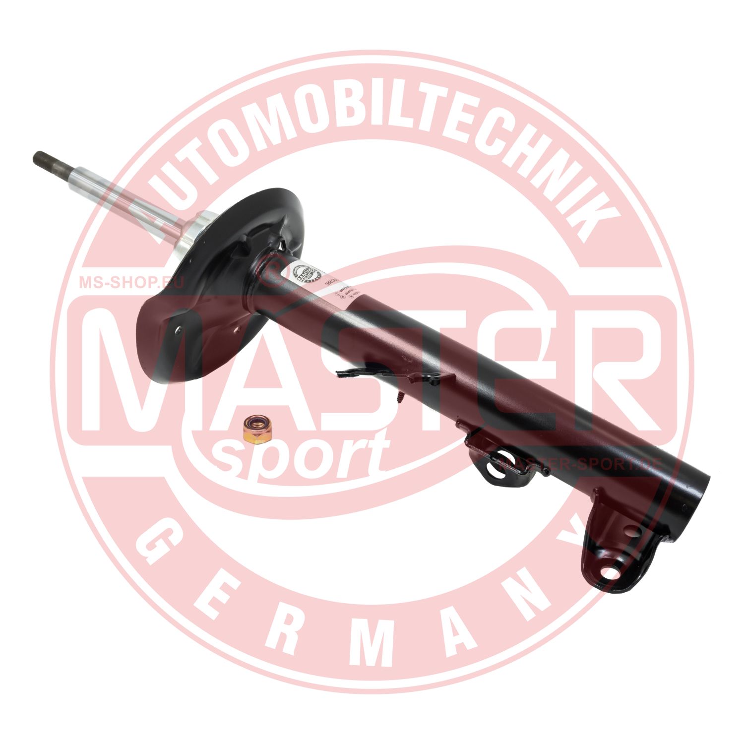 312063-PCS-MS