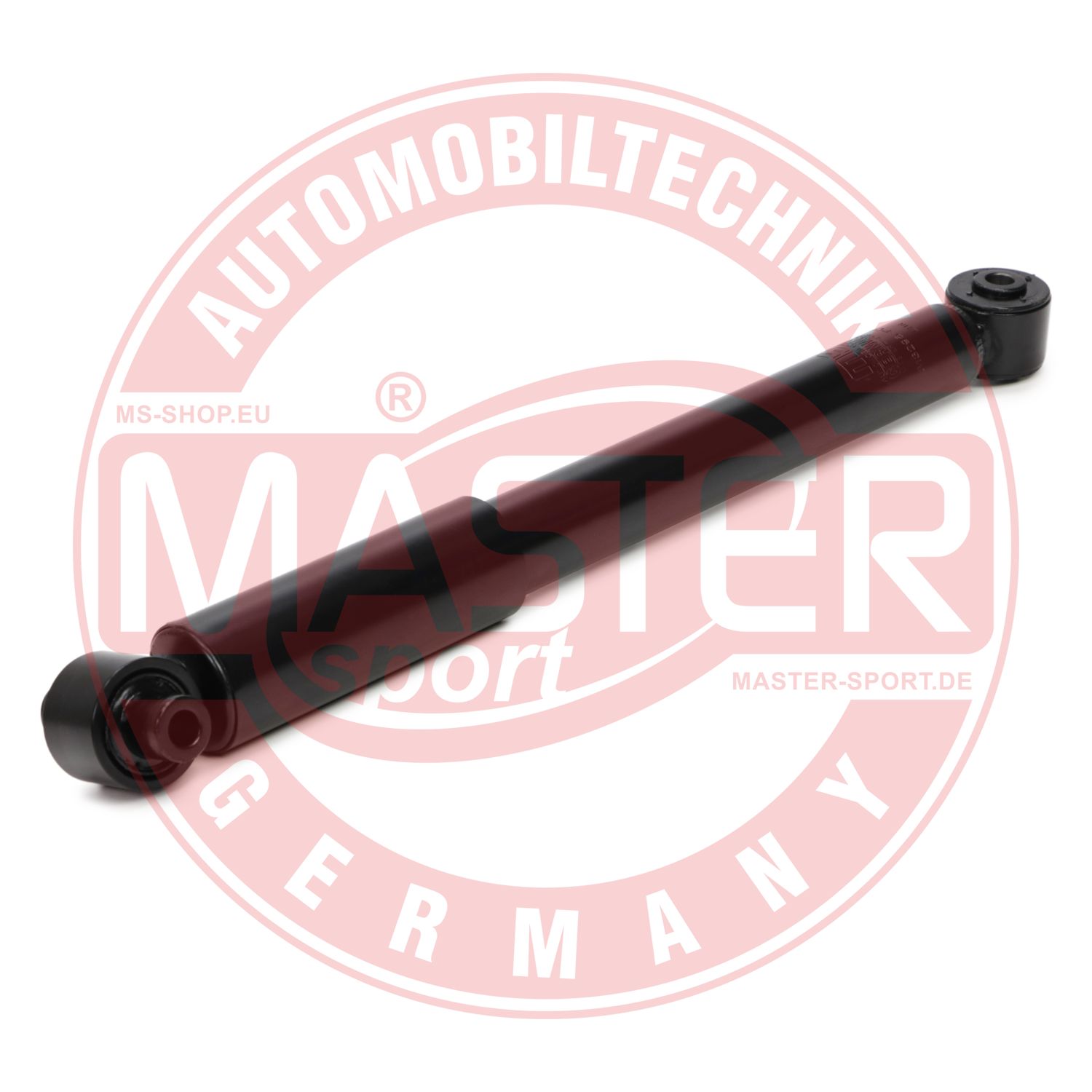 313295-PCS-MS