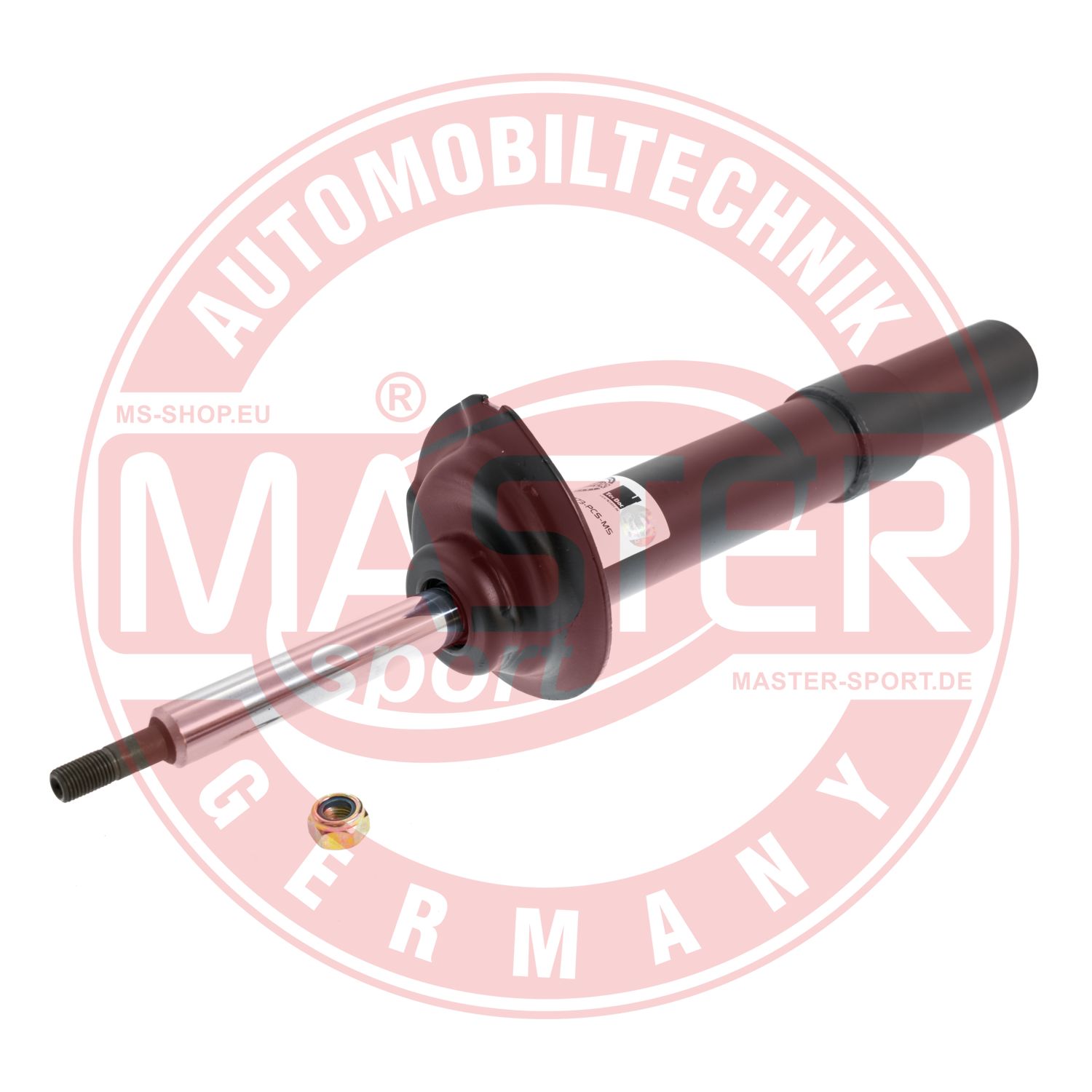310273-PCS-MS