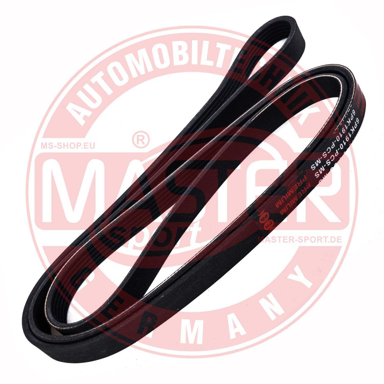 6PK1910-PCS-MS