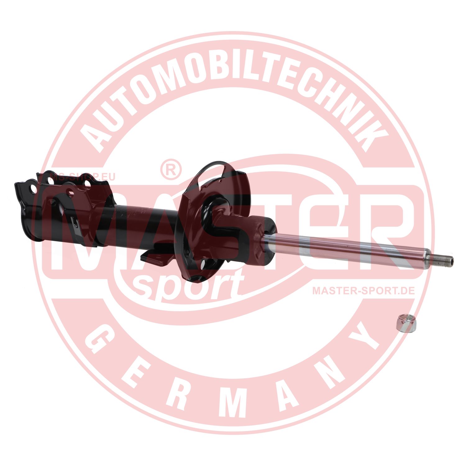 315866-PCS-MS