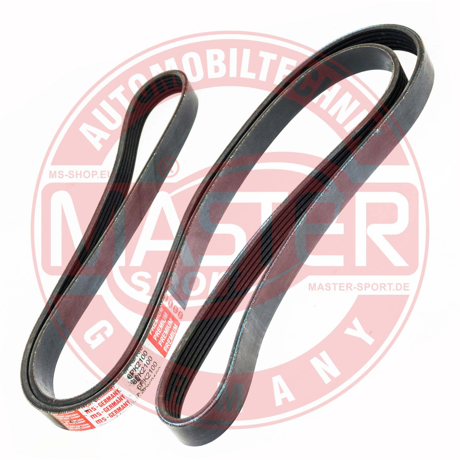 6PK2110-PCS-MS
