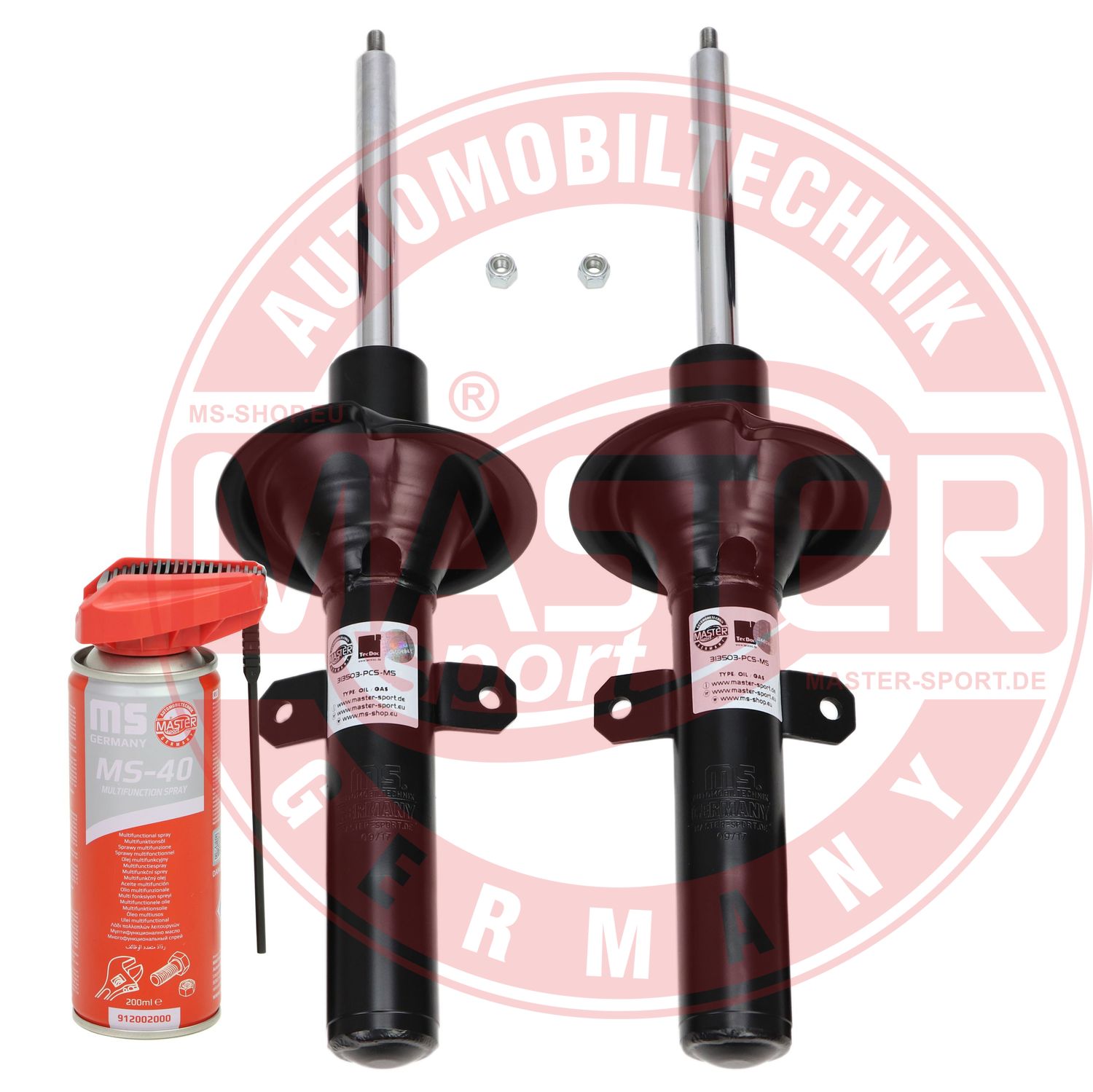 16K005191P