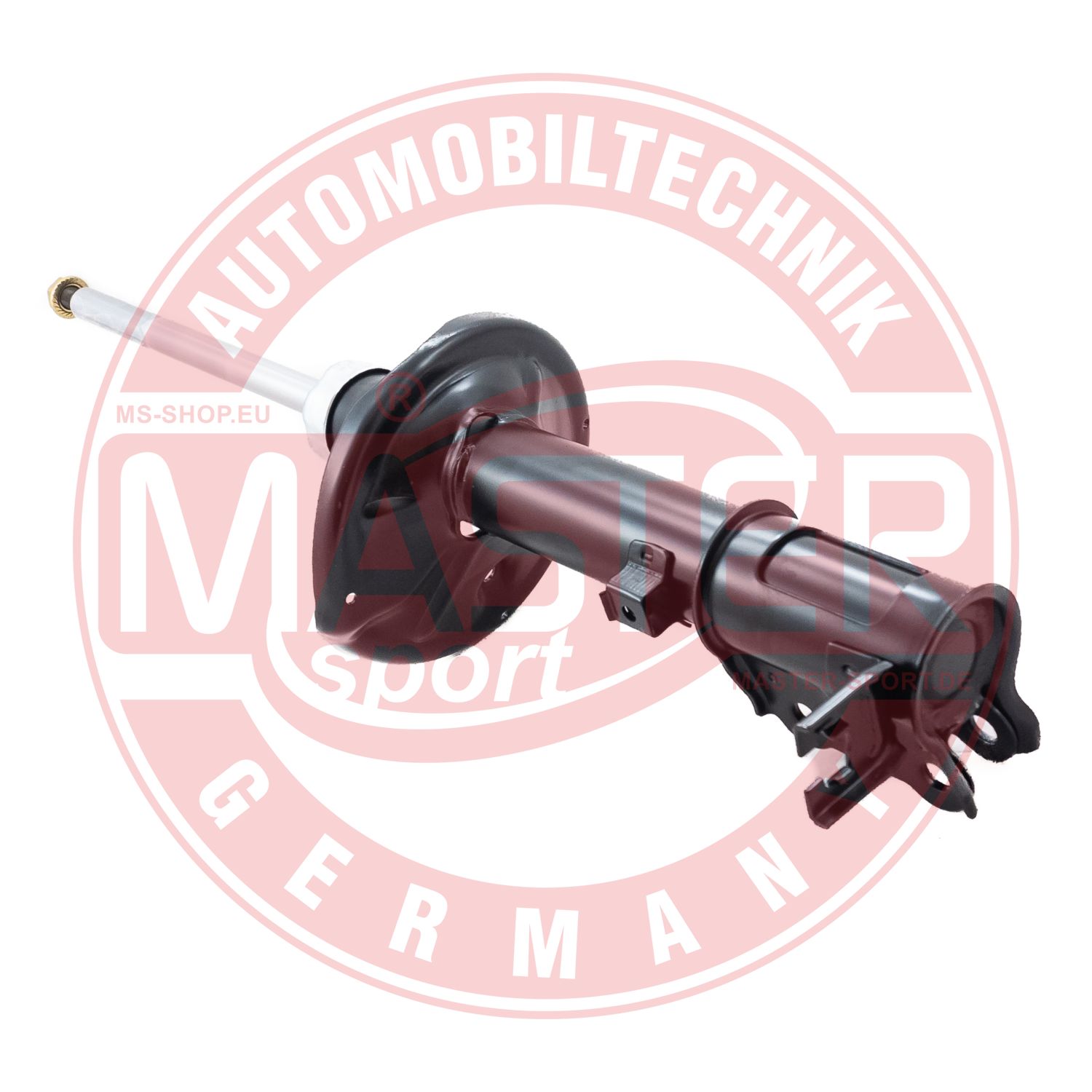 313844-PCS-MS