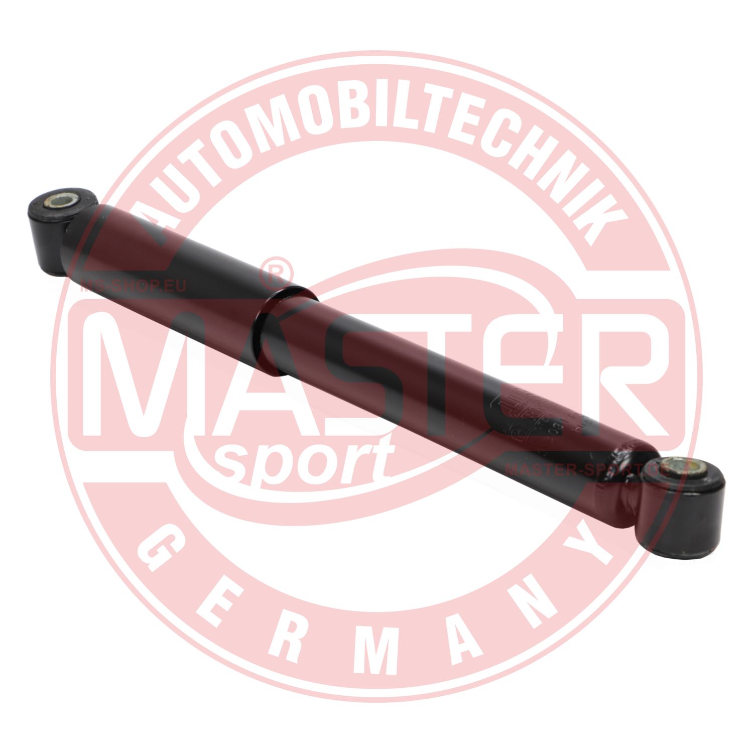 313031-PCS-MS