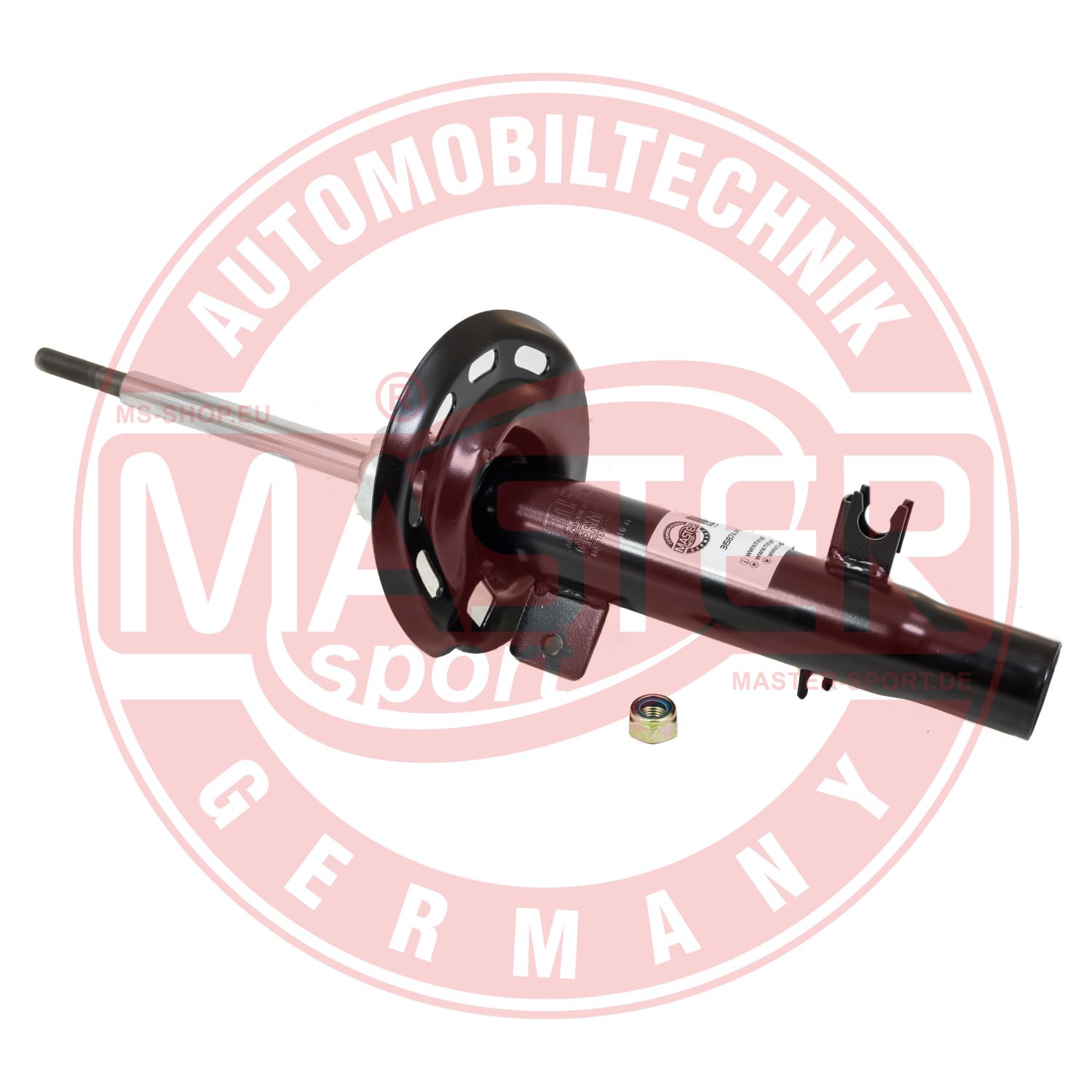 315874-PCS-MS