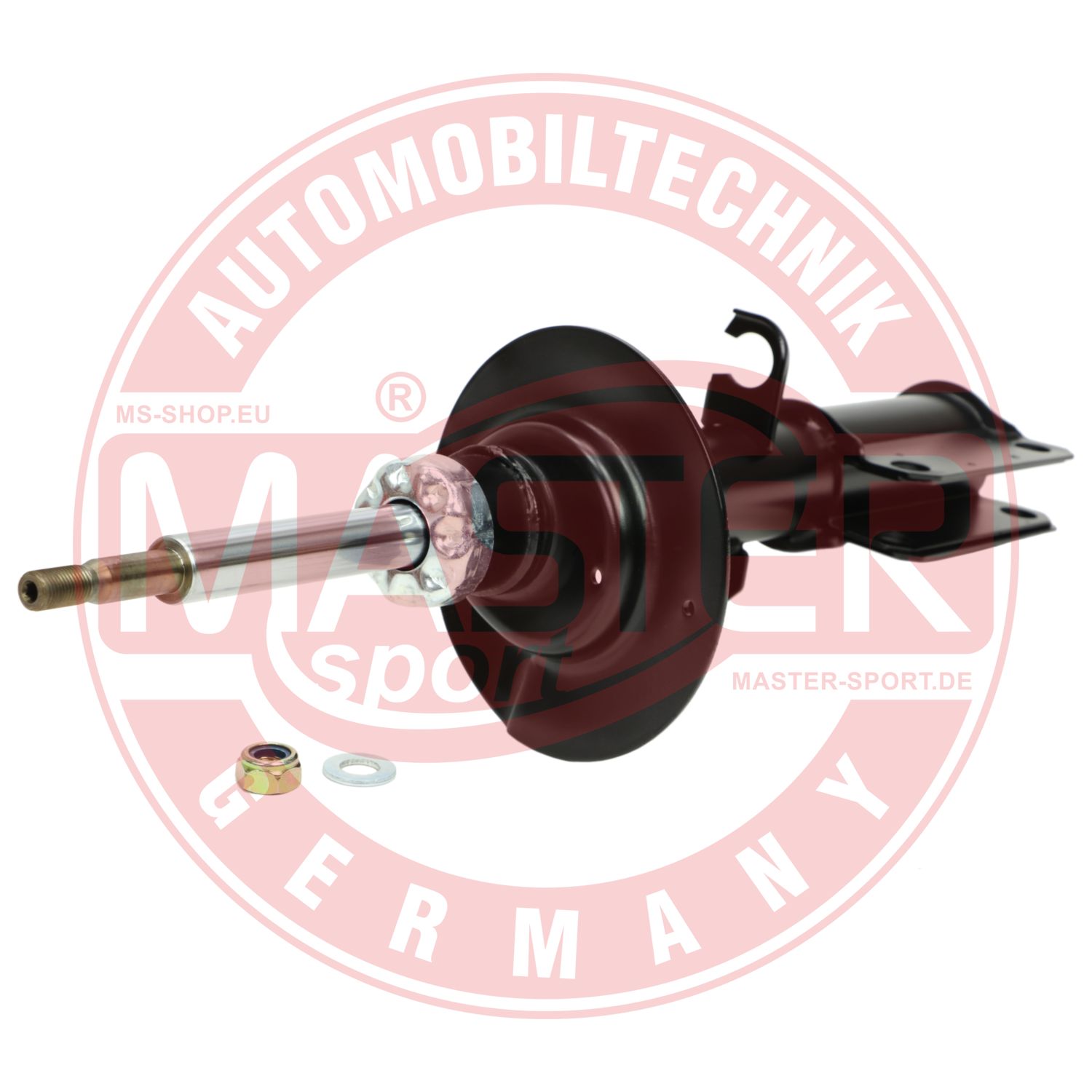 290240-PCS-MS