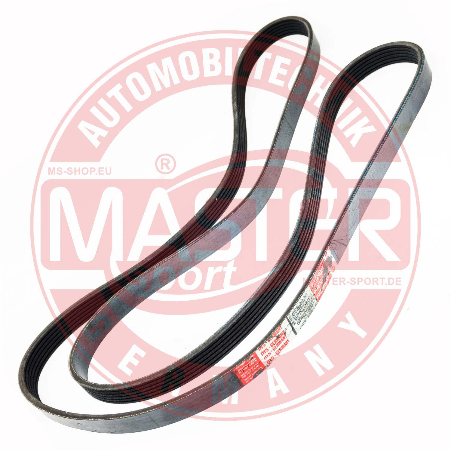 6PK2030-PCS-MS